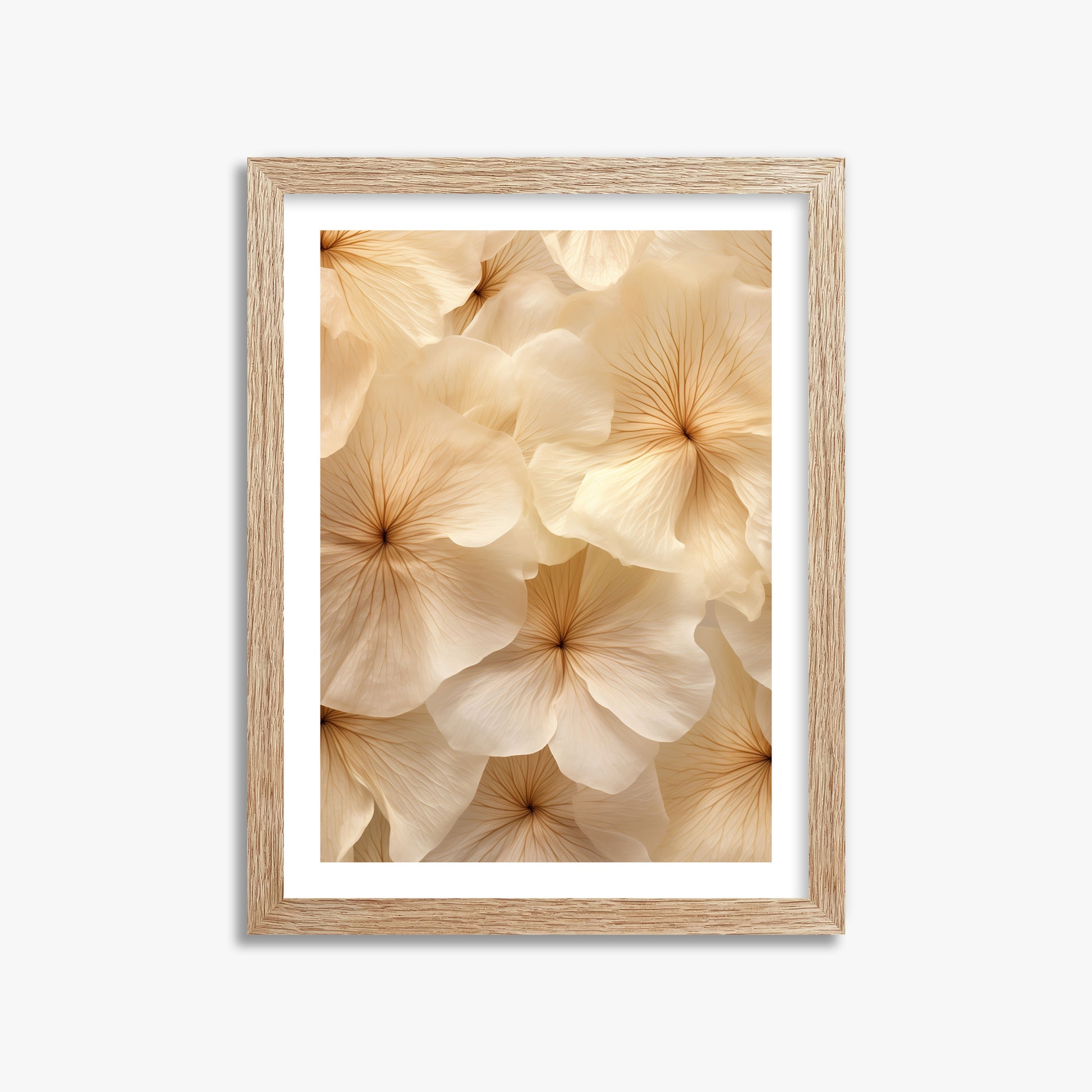 Ivory Blooms, 30x40cm Framed Poster With Raw Oak Frame