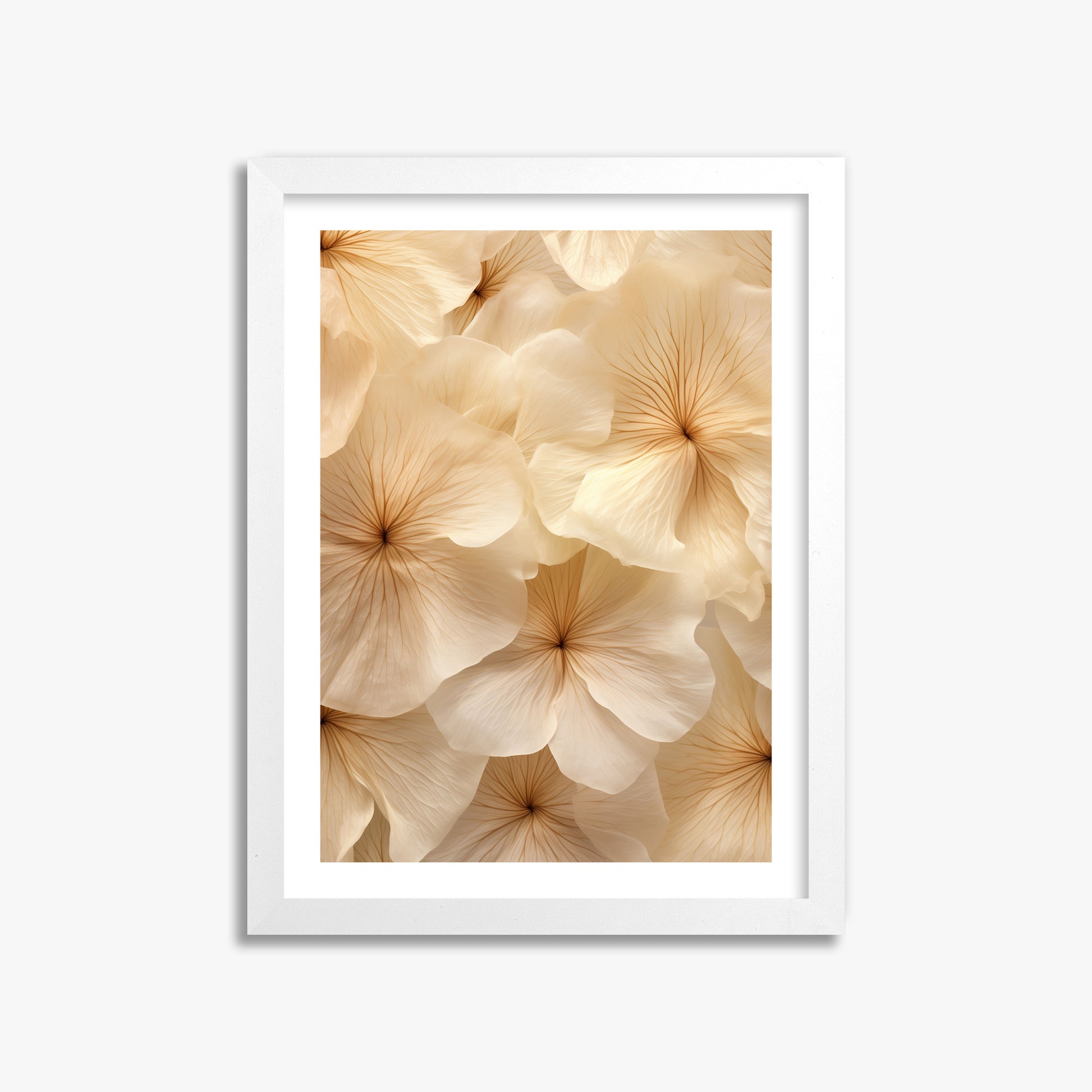 Ivory Blooms, 30x40cm Framed Poster With White Frame