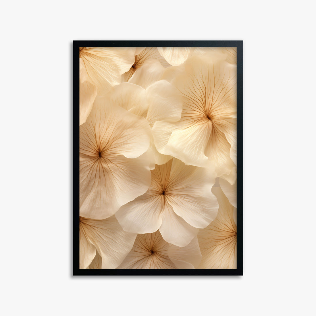 Ivory Blooms, 50x70cm Framed Poster With Black Frame