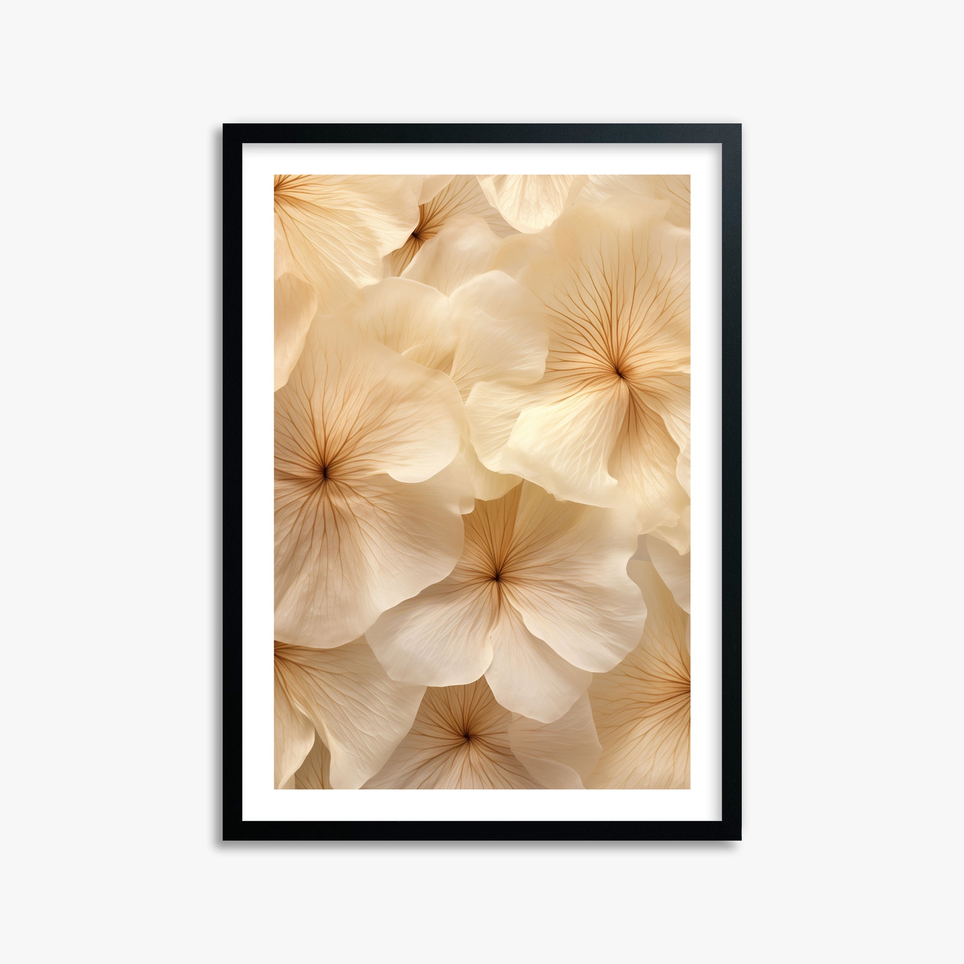 Ivory Blooms, 50x70cm Framed Poster With Black Frame