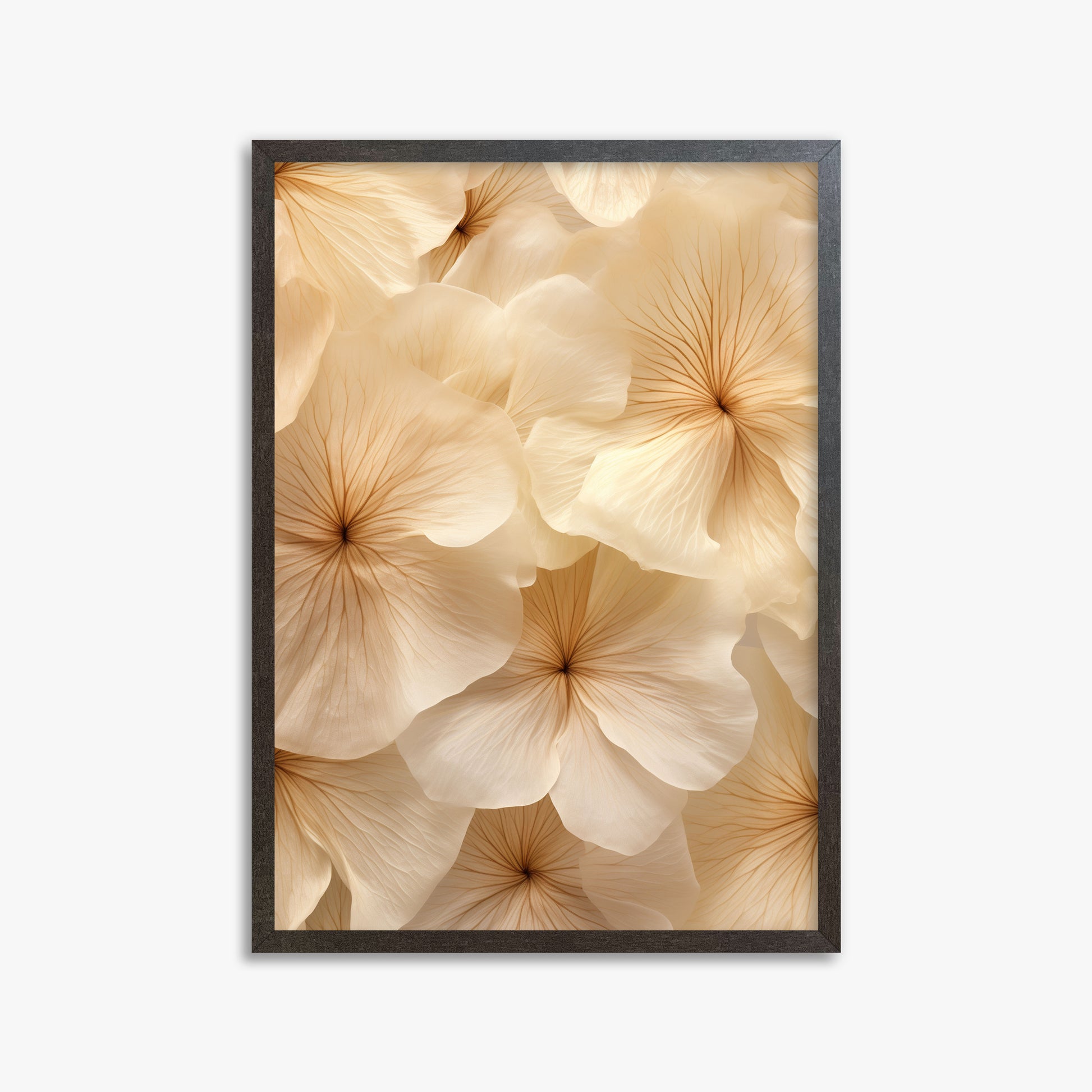 Ivory Blooms, 50x70cm Framed Poster With Espresso Frame