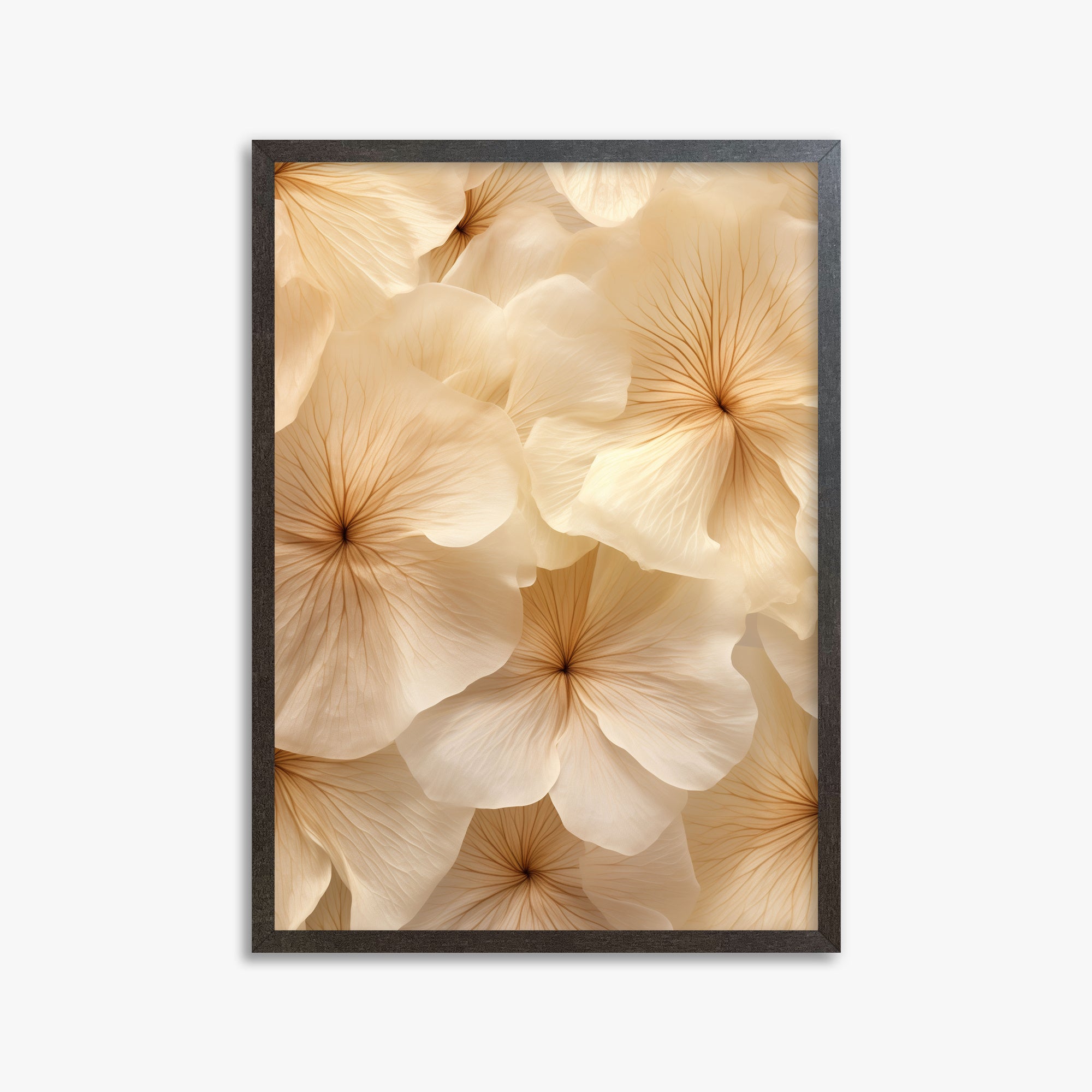 Ivory Blooms, 50x70cm Framed Poster With Espresso Frame