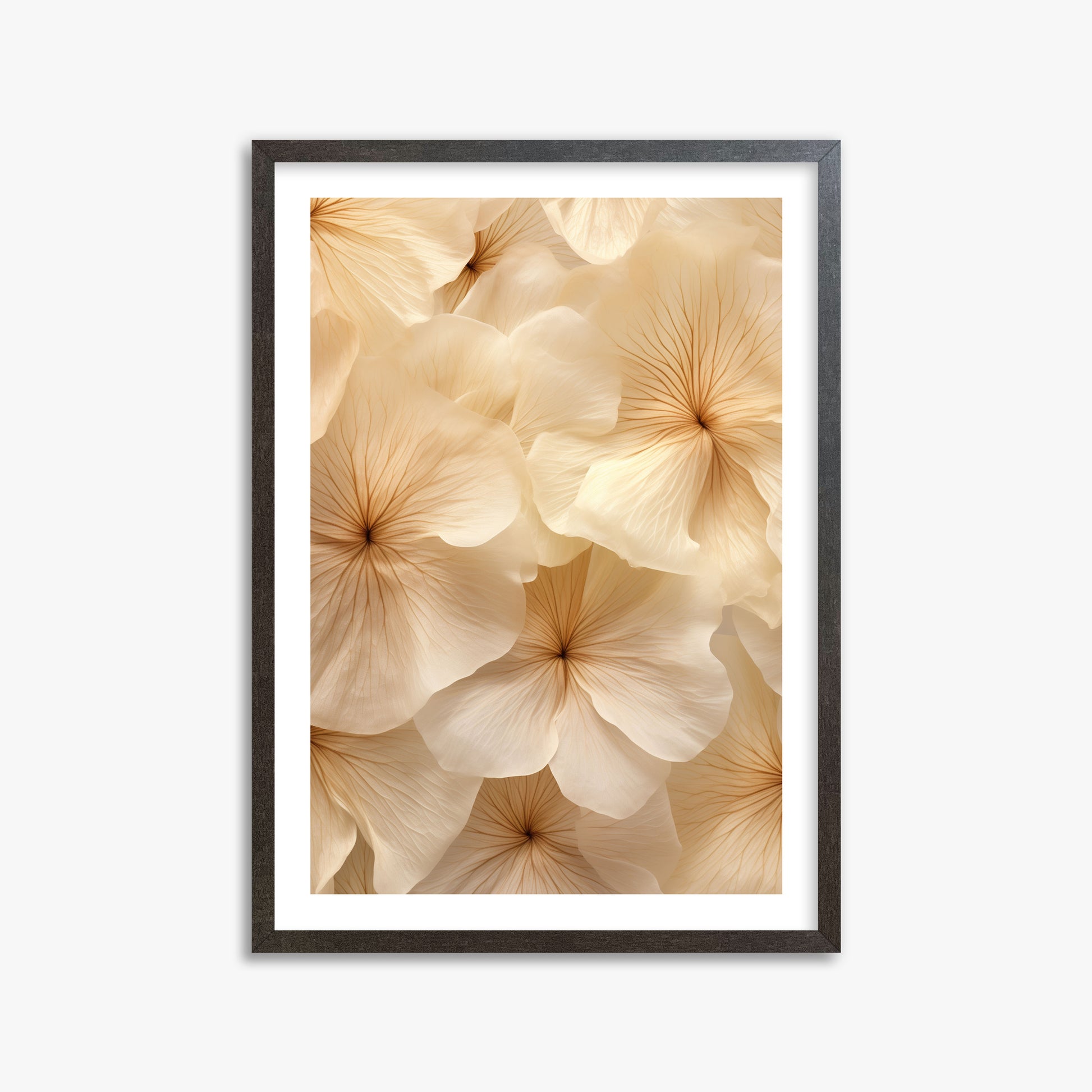 Ivory Blooms, 50x70cm Framed Poster With Espresso Frame