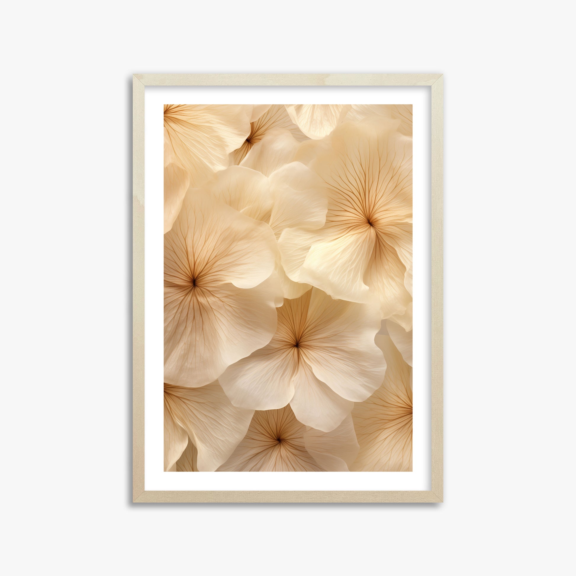Ivory Blooms, 50x70cm Framed Poster With Lime Wood Frame