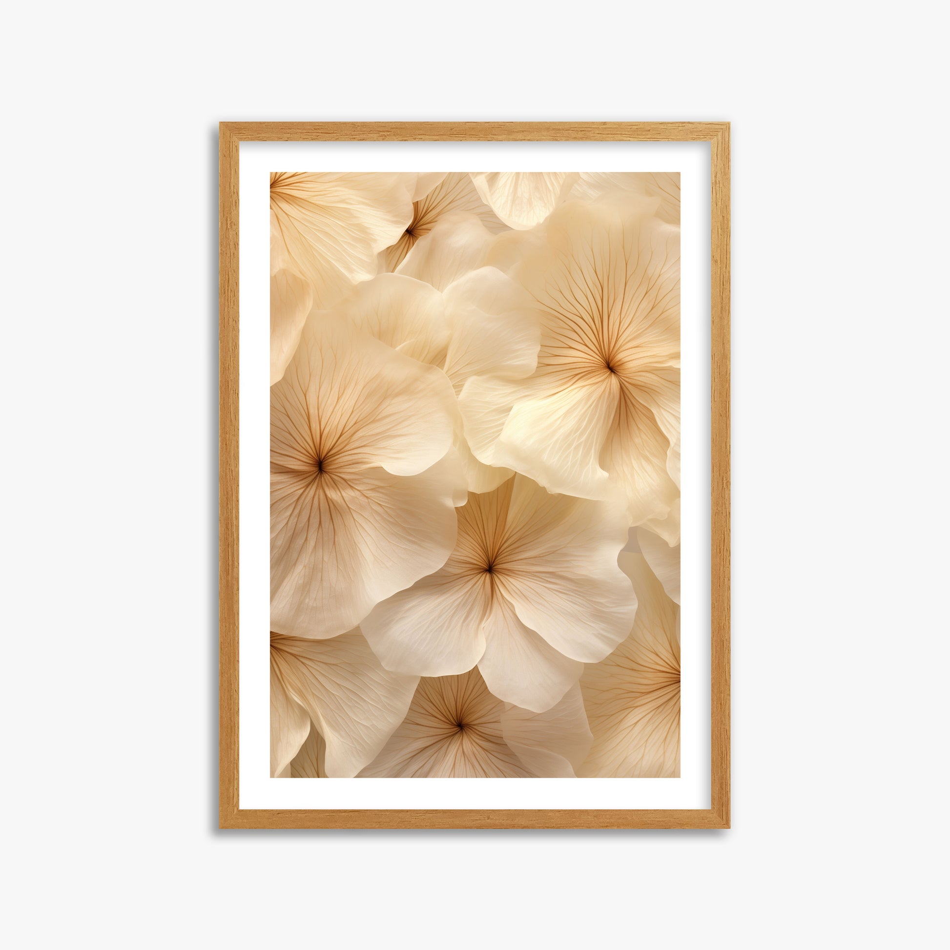 Ivory Blooms, 50x70cm Framed Poster With Oak Frame