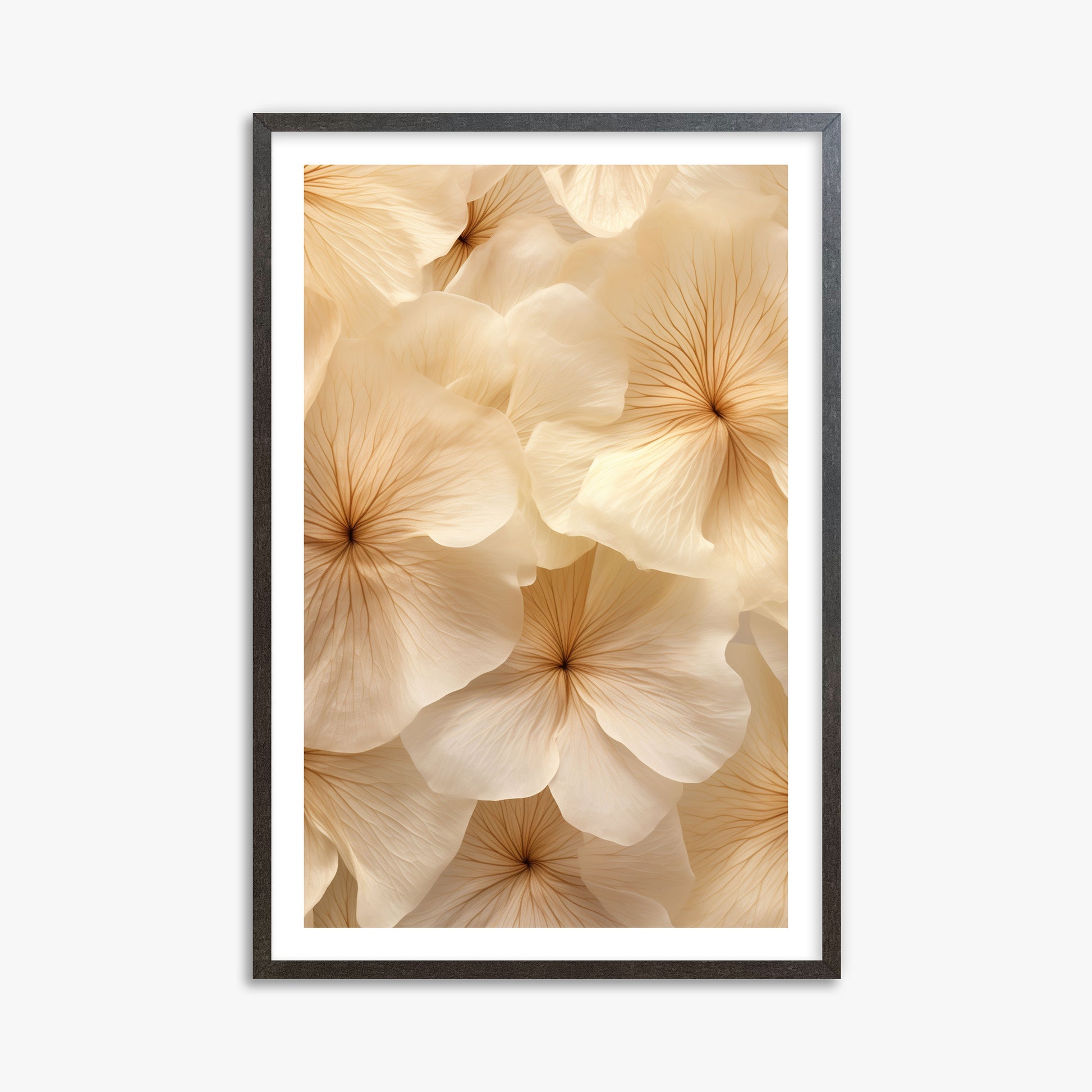Ivory Blooms, 61x91cm Framed Poster With Espresso Frame