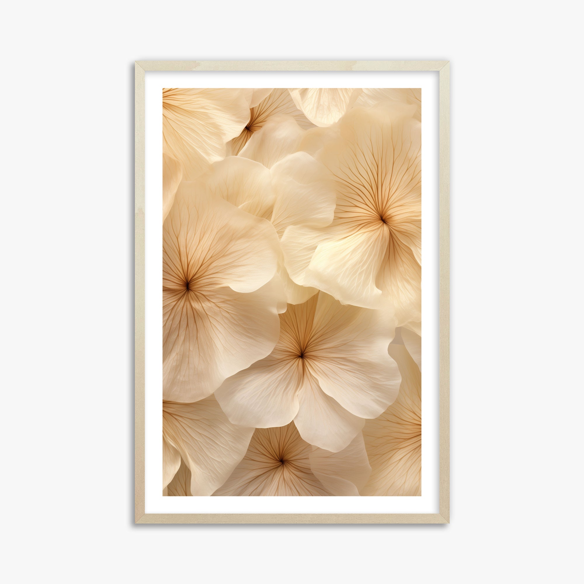 Ivory Blooms, 61x91cm Framed Poster With Lime Wood Frame