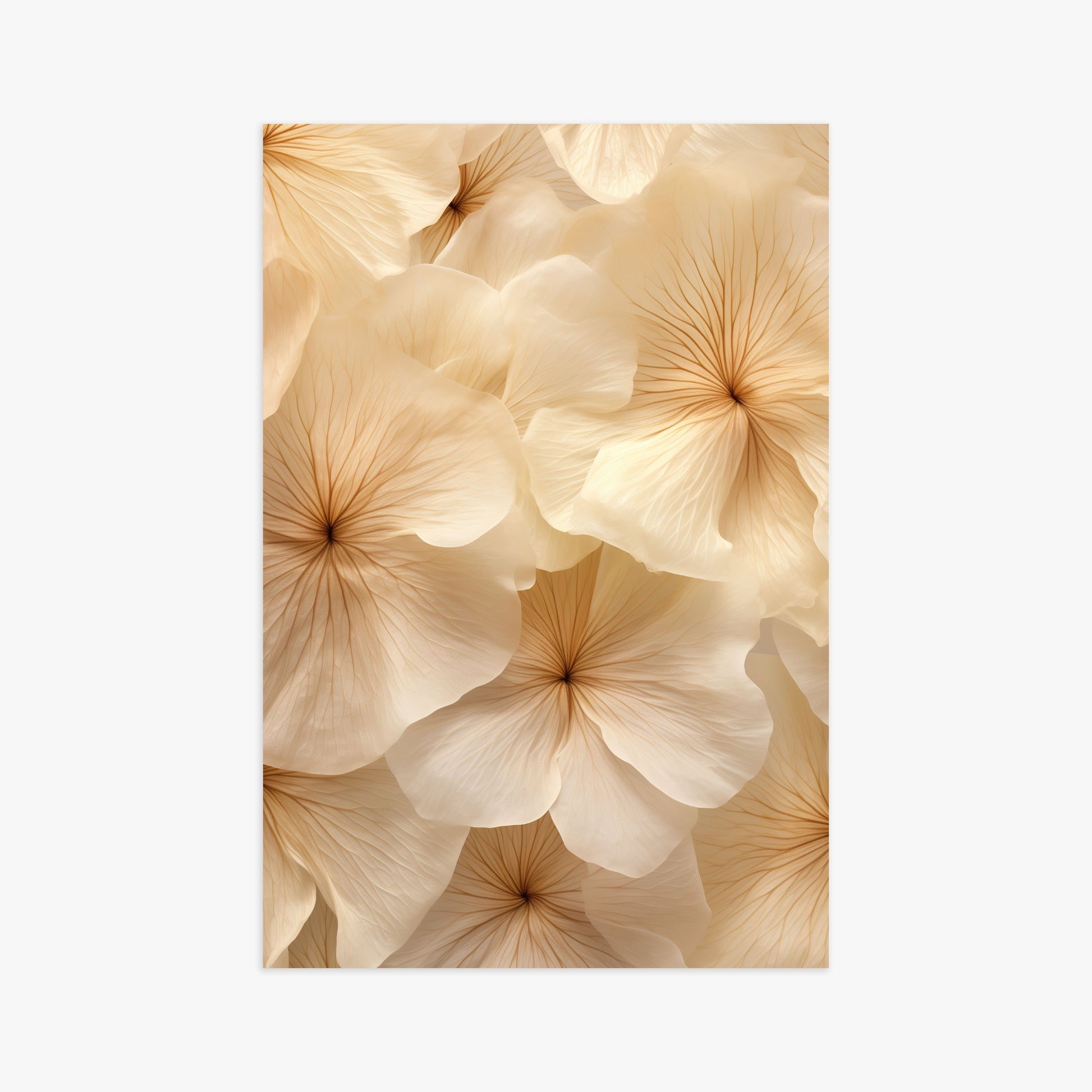 Ivory Blooms, 61x91cm Poster Unframed
