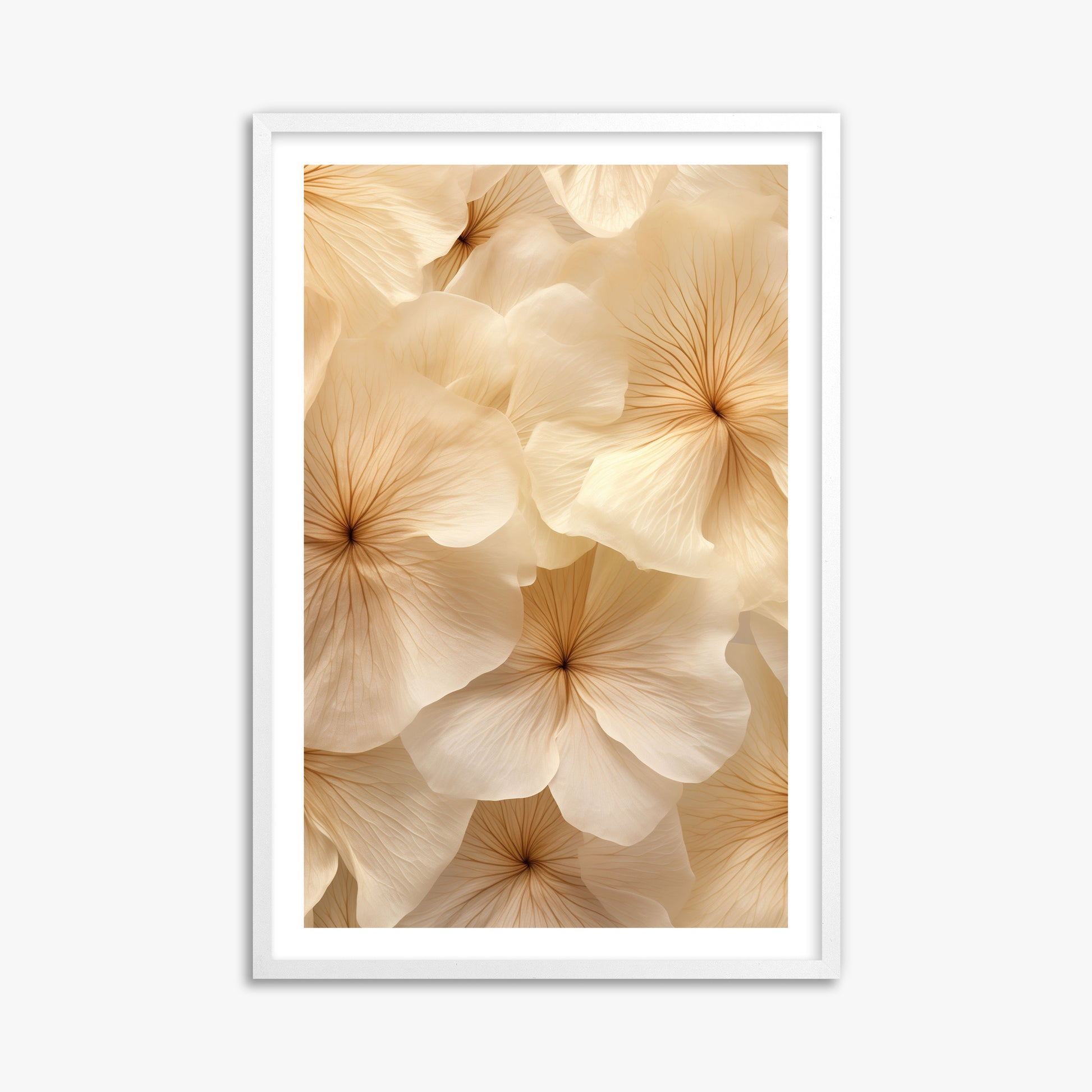 Ivory Blooms, 61x91cm Framed Poster With White Frame