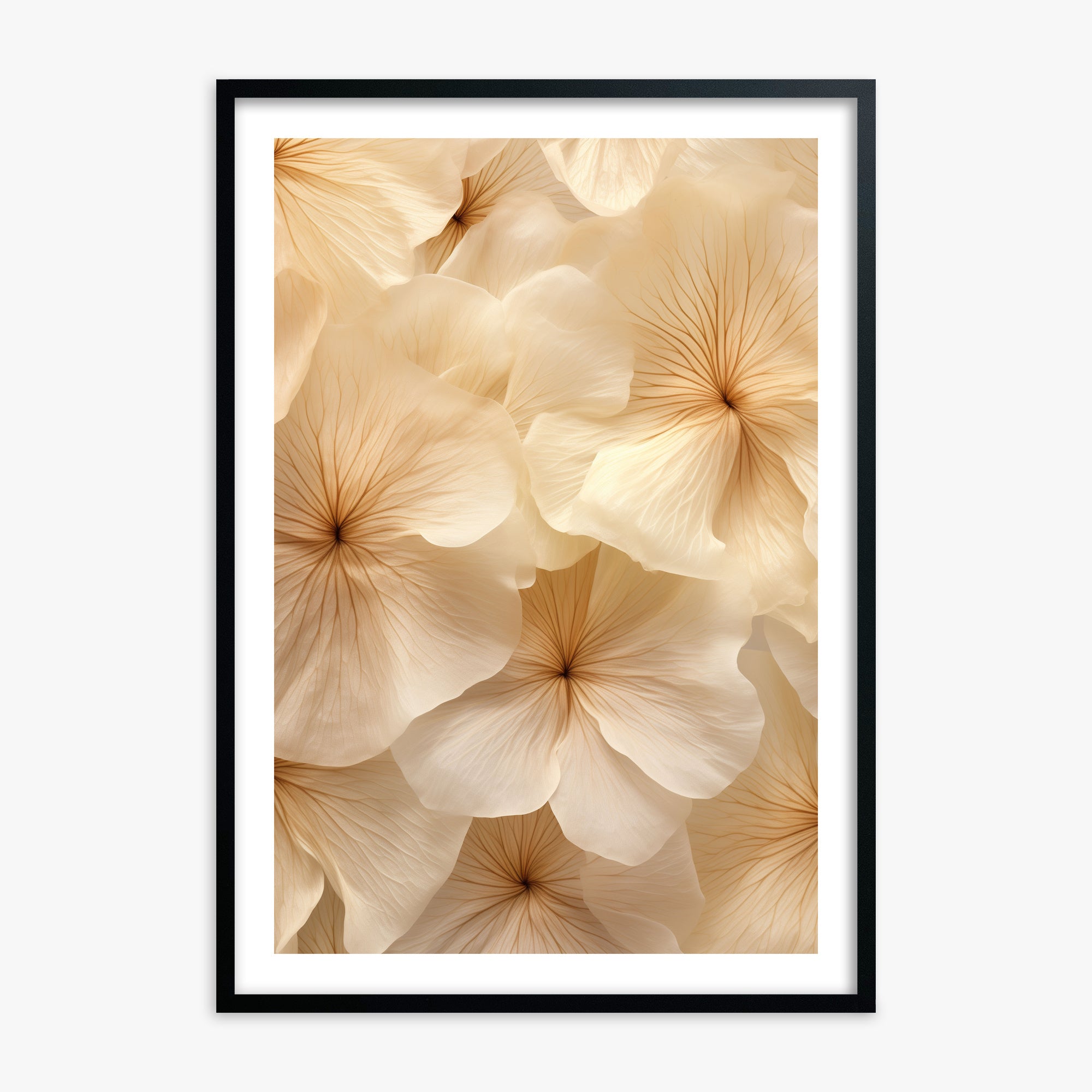Ivory Blooms, 70x100cm Framed Poster With Black Frame