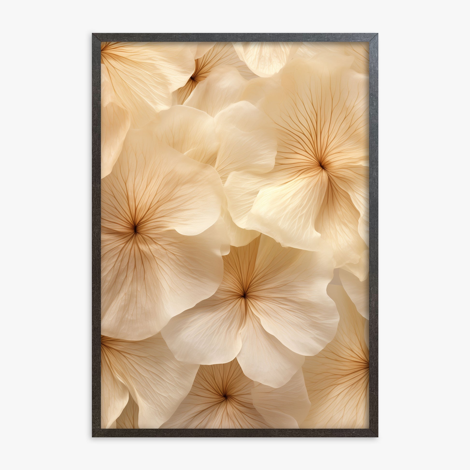 Ivory Blooms, 70x100cm Framed Poster With Espresso Frame