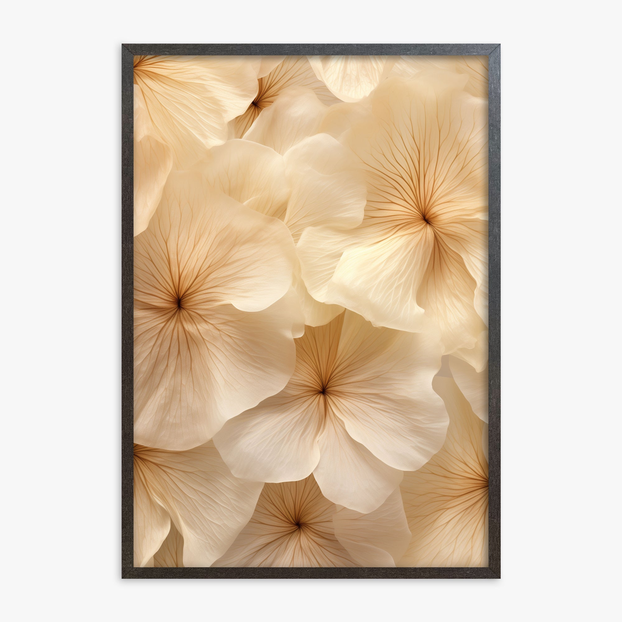 Ivory Blooms, 70x100cm Framed Poster With Espresso Frame