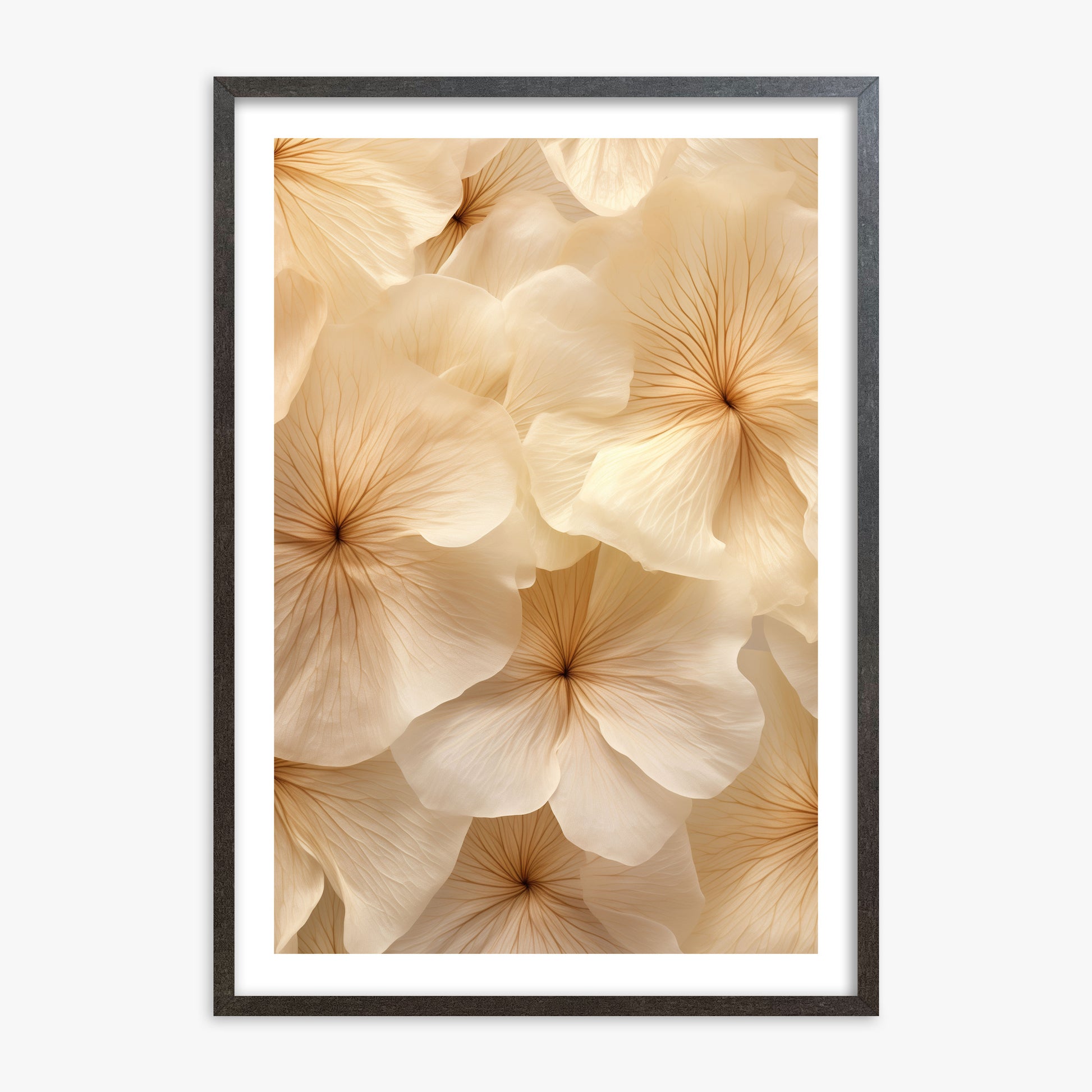Ivory Blooms, 70x100cm Framed Poster With Espresso Frame