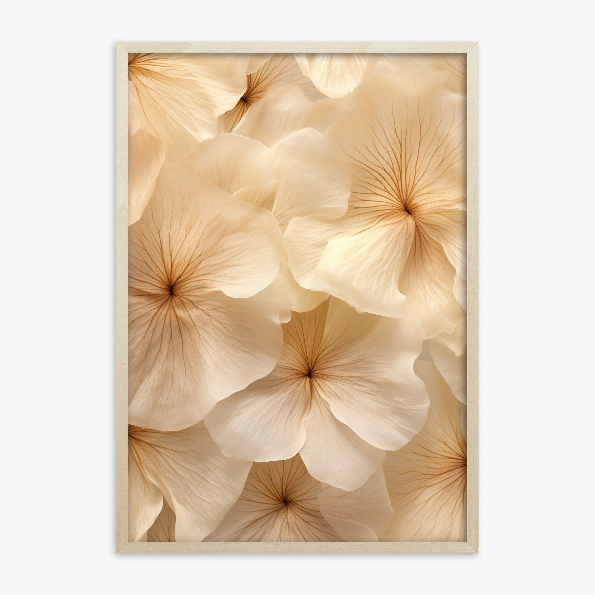 Ivory Blooms, 70x100cm Framed Poster With Lime Wood Frame