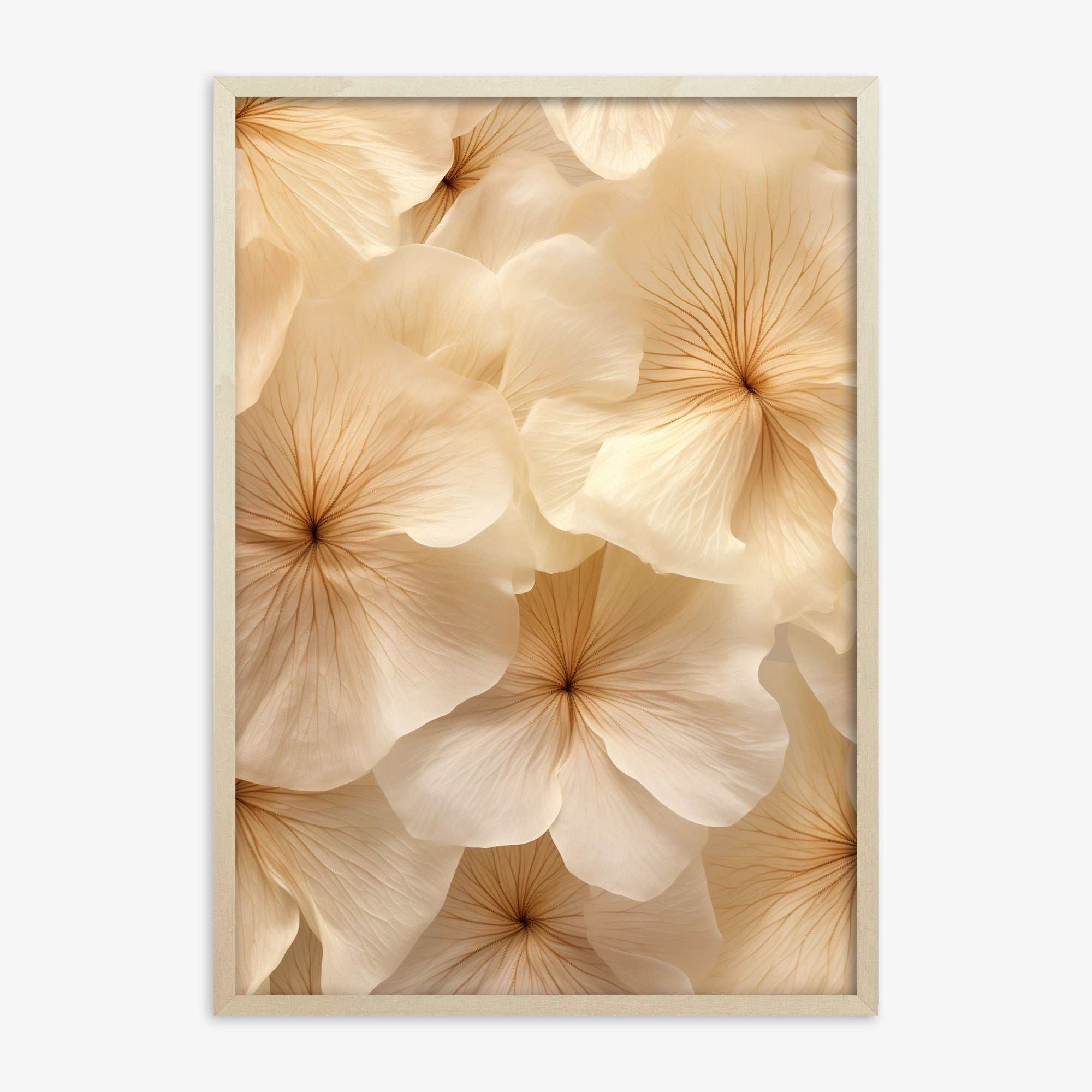 Ivory Blooms, 70x100cm Framed Poster With Lime Wood Frame
