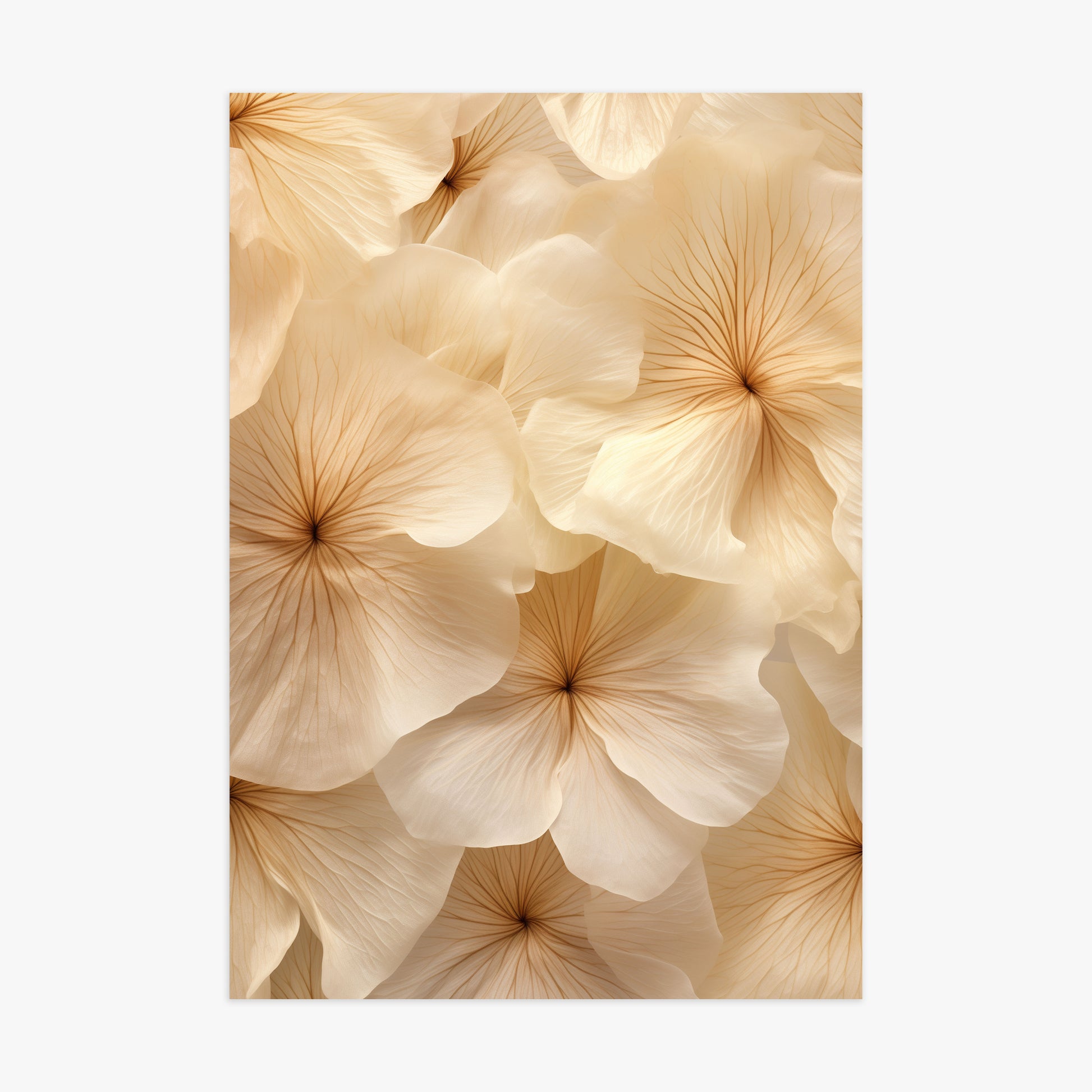 Ivory Blooms, 70x100cm Poster Unframed