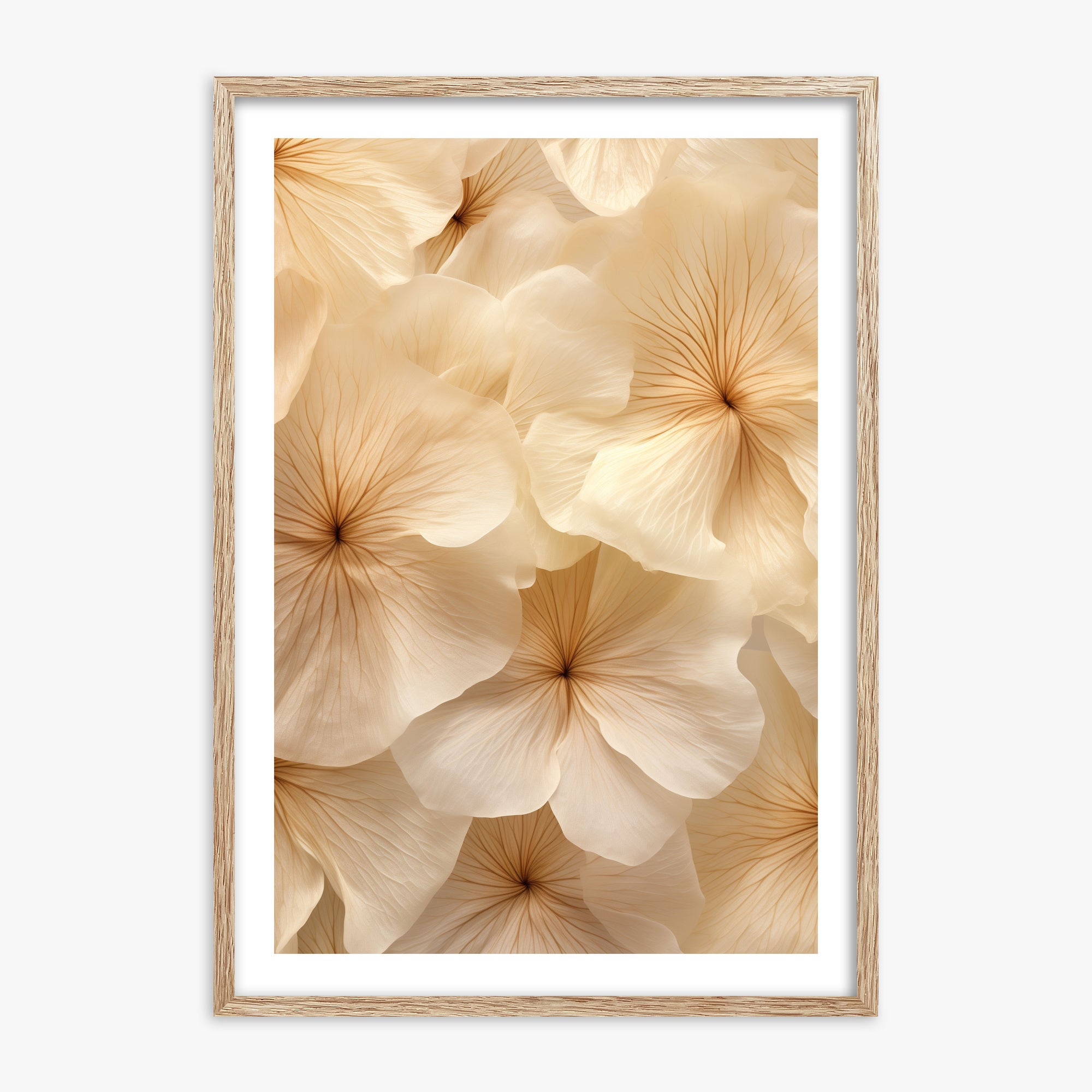 Ivory Blooms, 70x100cm Framed Poster With Raw Oak Frame