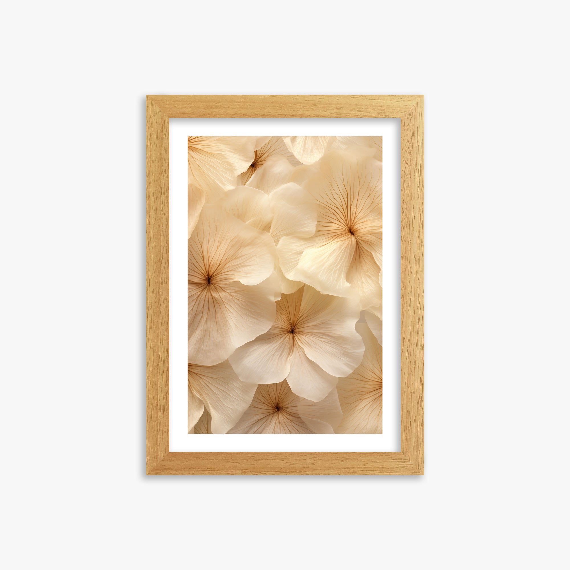 Fiori d'avorio