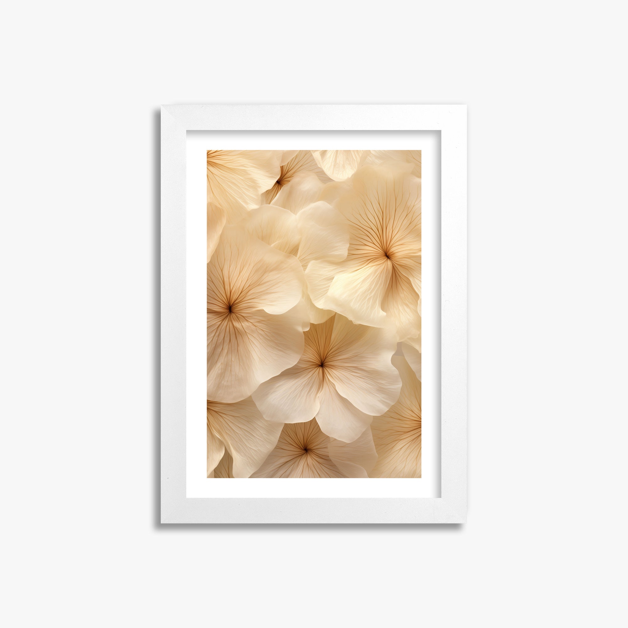Fiori d'avorio