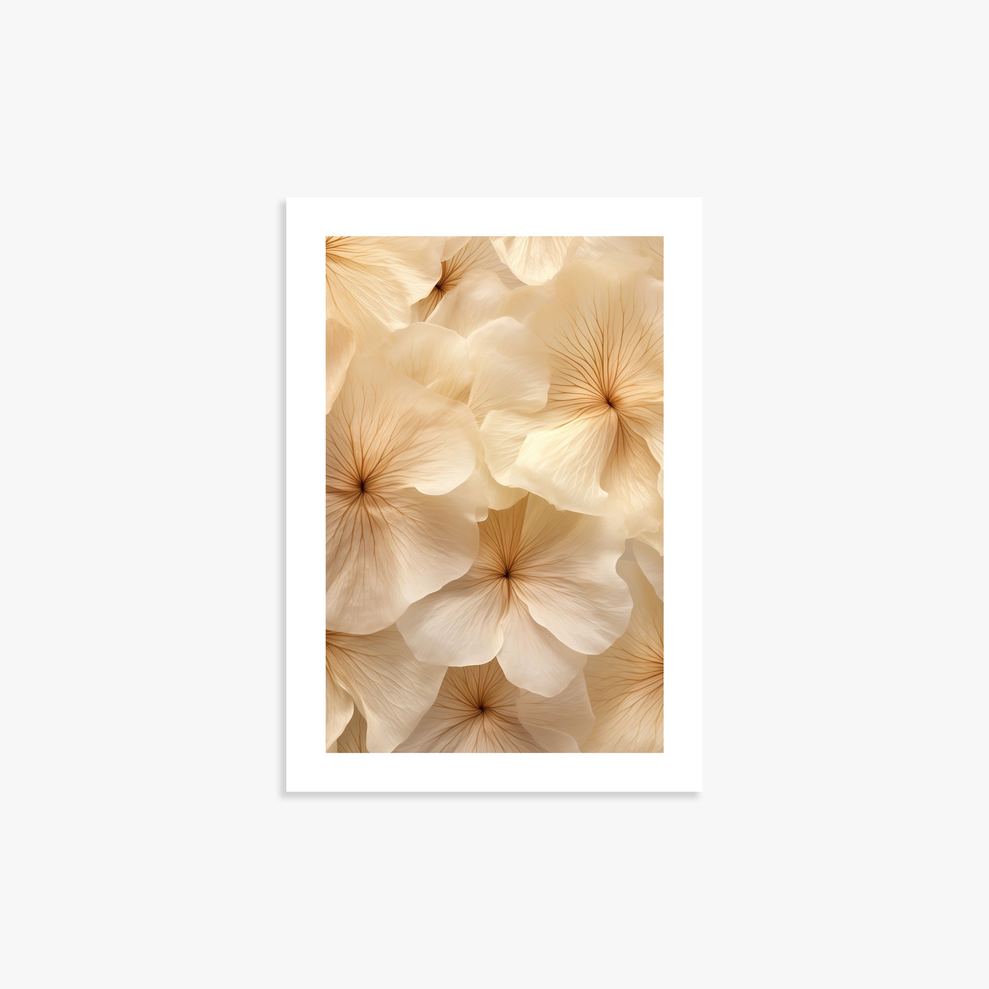 Fiori d'avorio