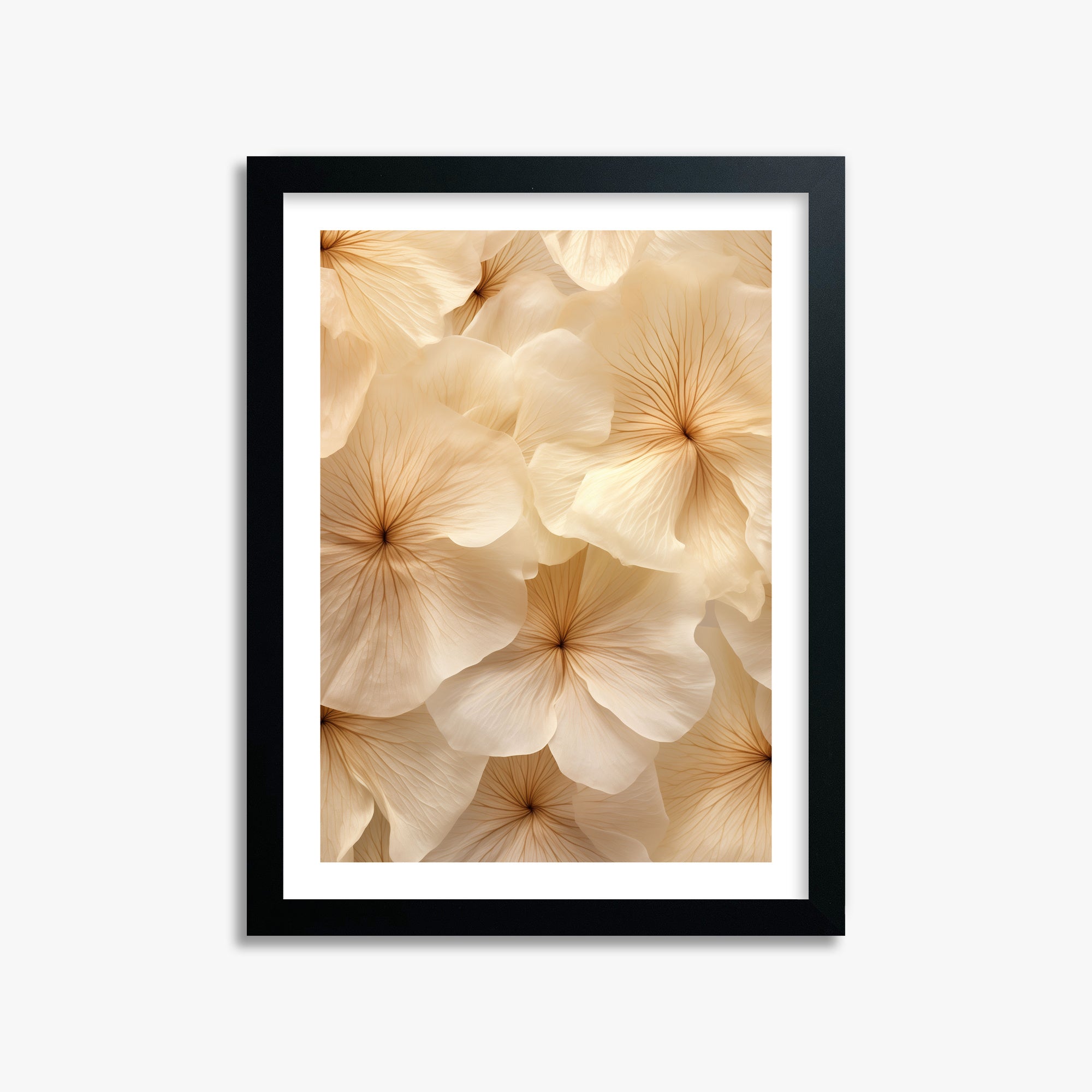 Fiori d'avorio