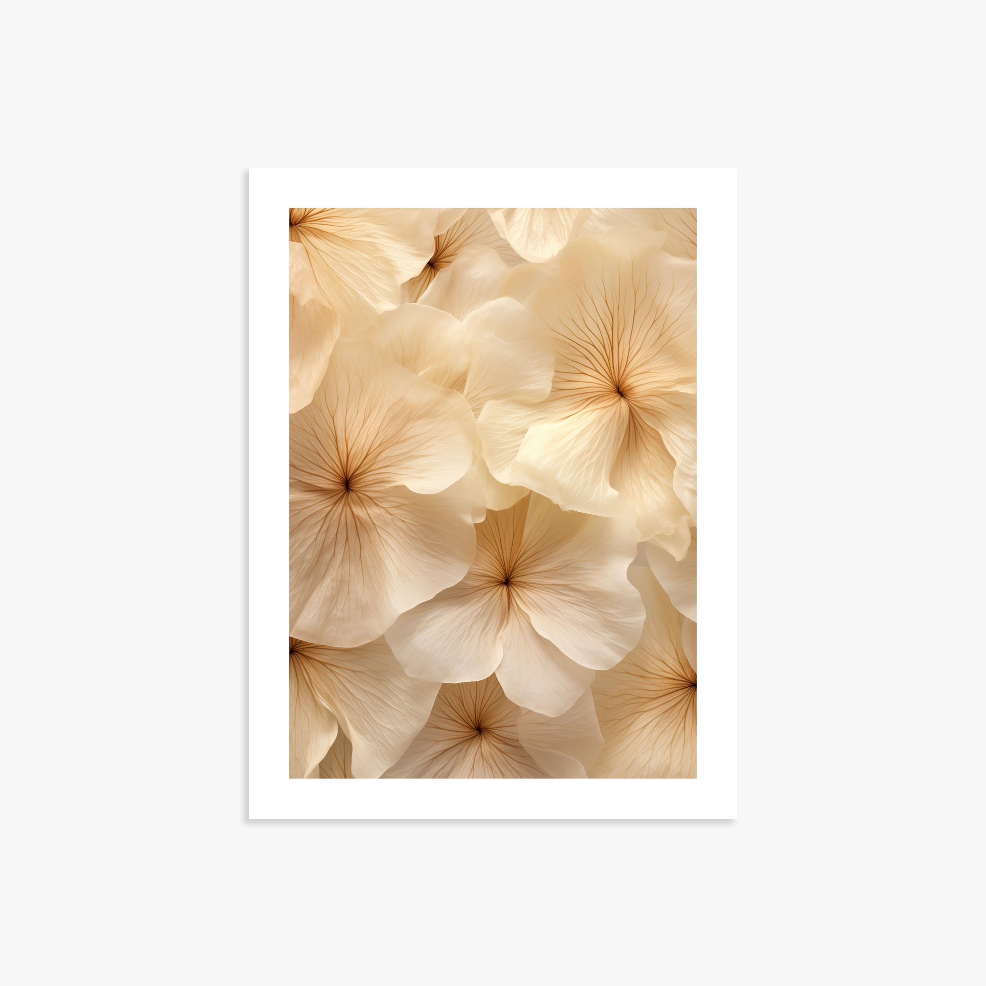 Fiori d'avorio