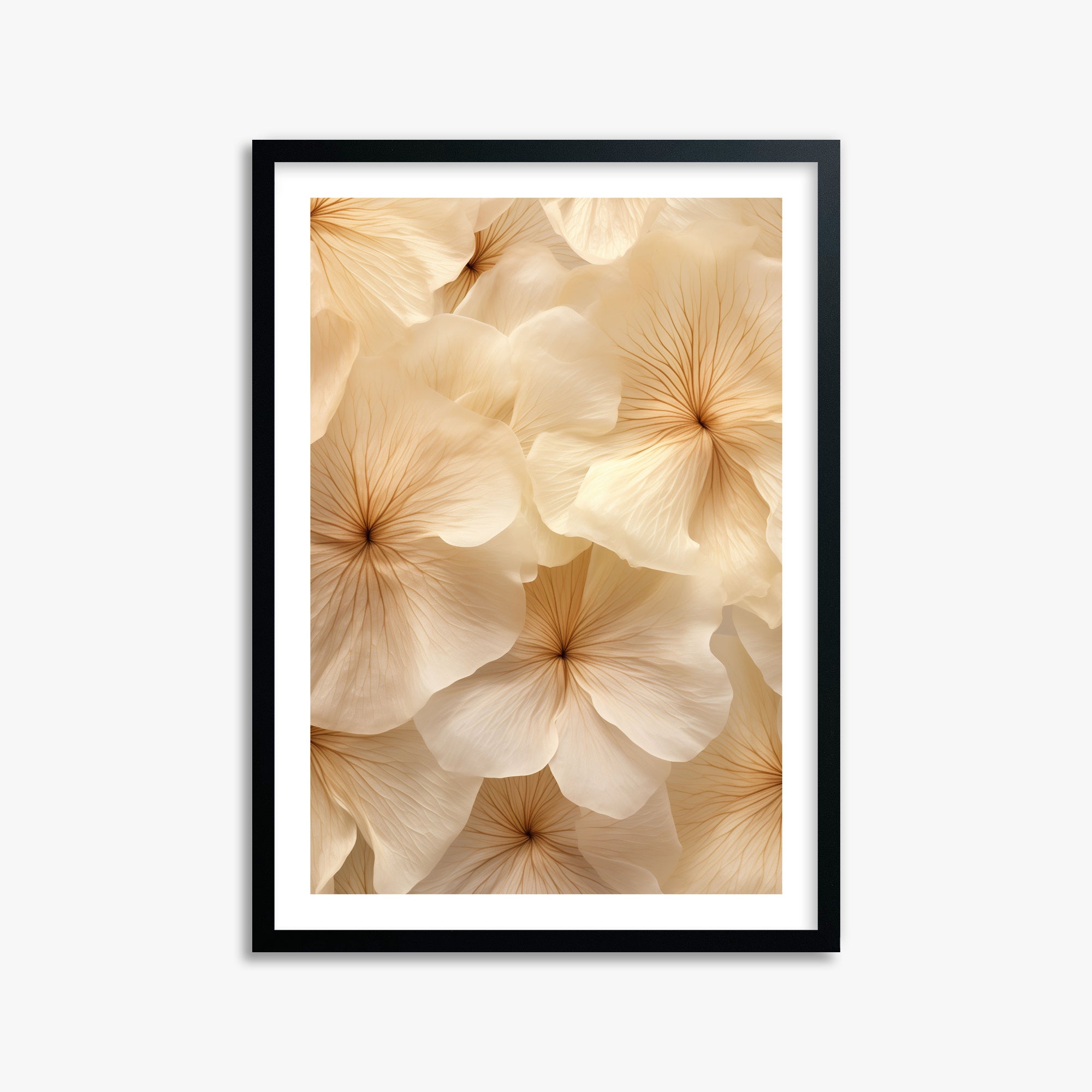 Fiori d'avorio