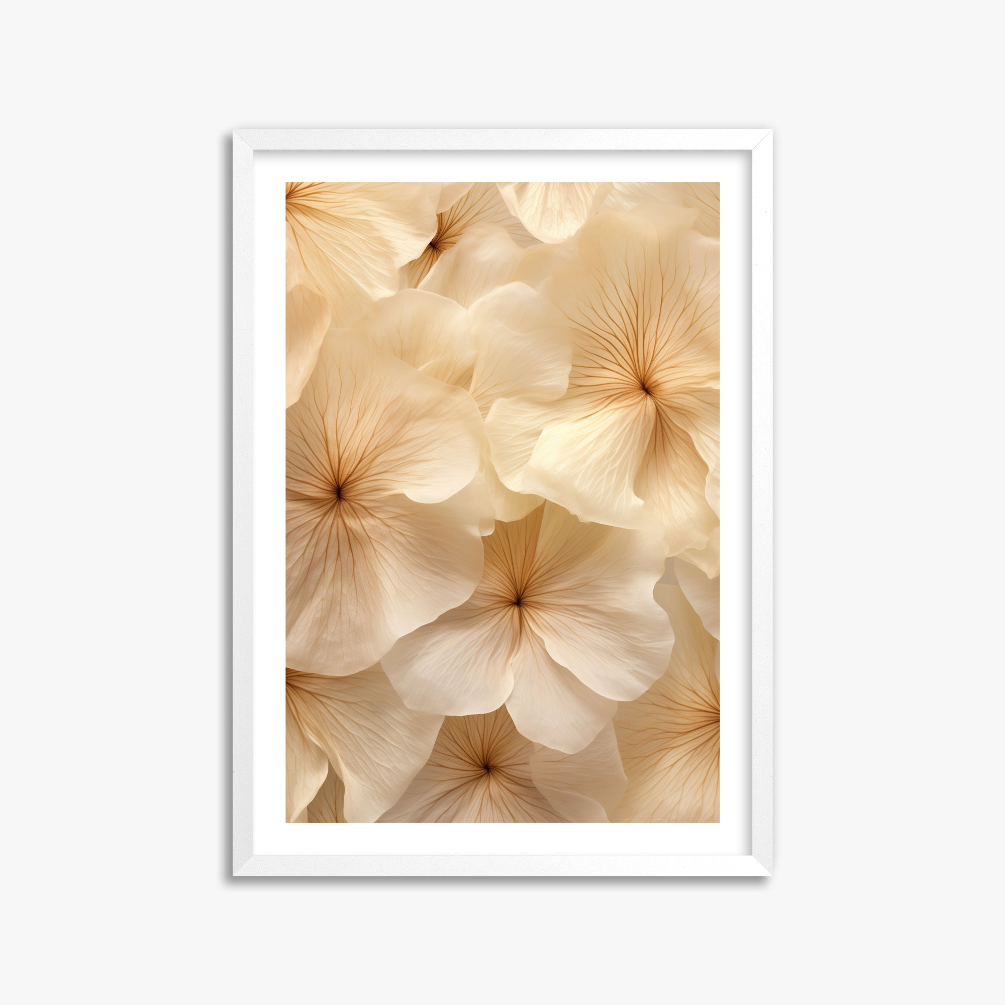 Fiori d'avorio