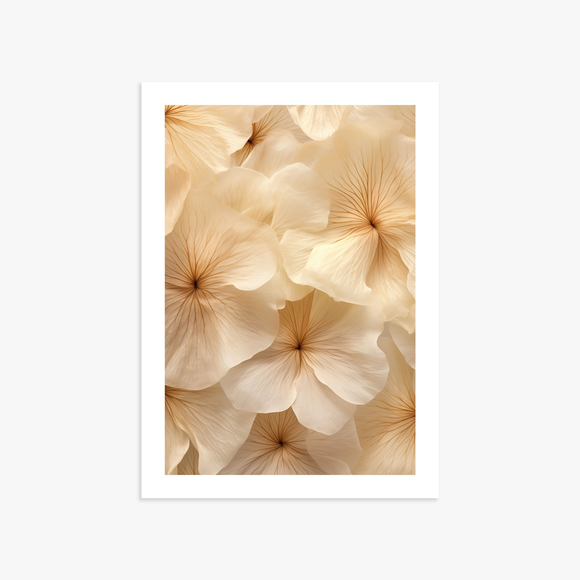 Fiori d'avorio