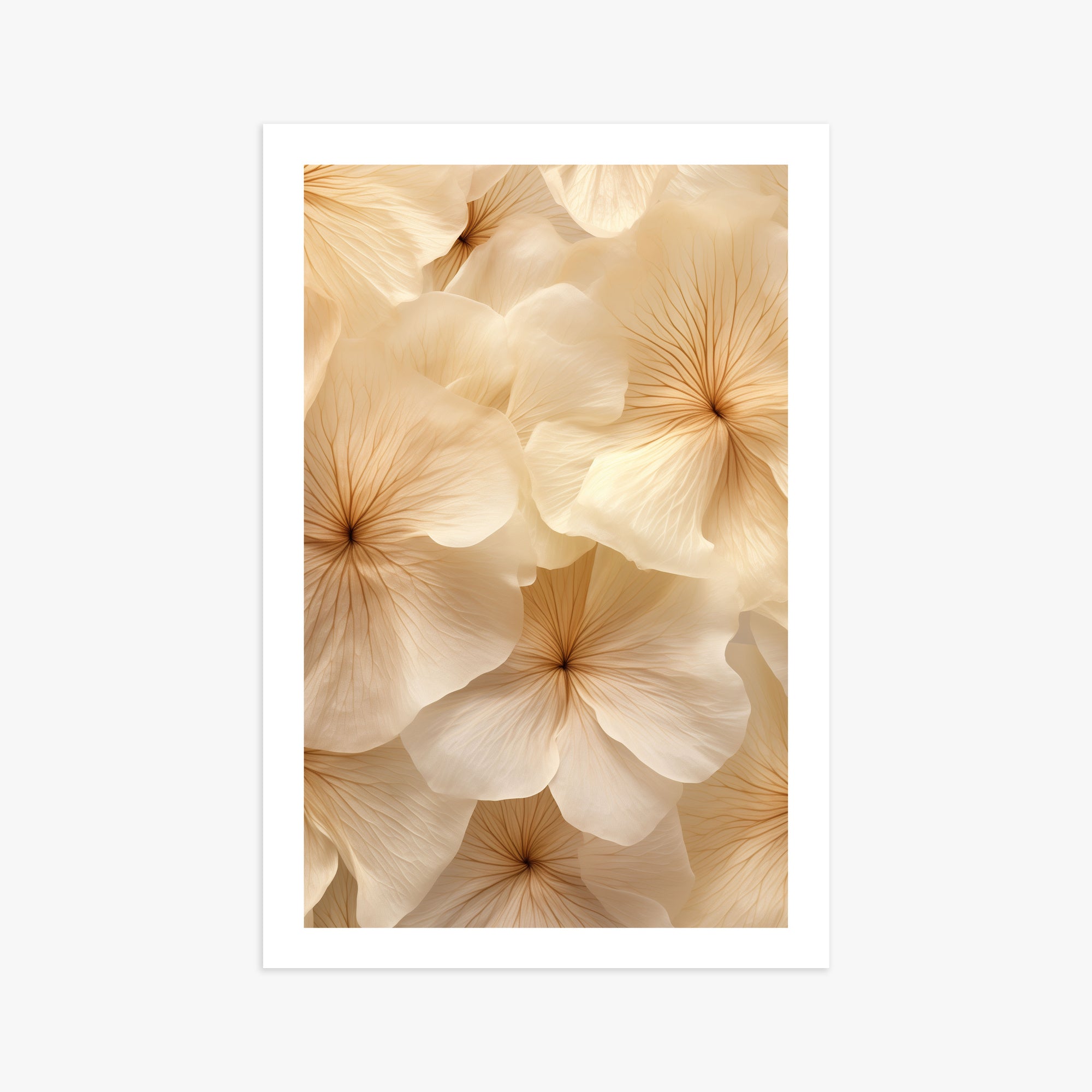 Fiori d'avorio