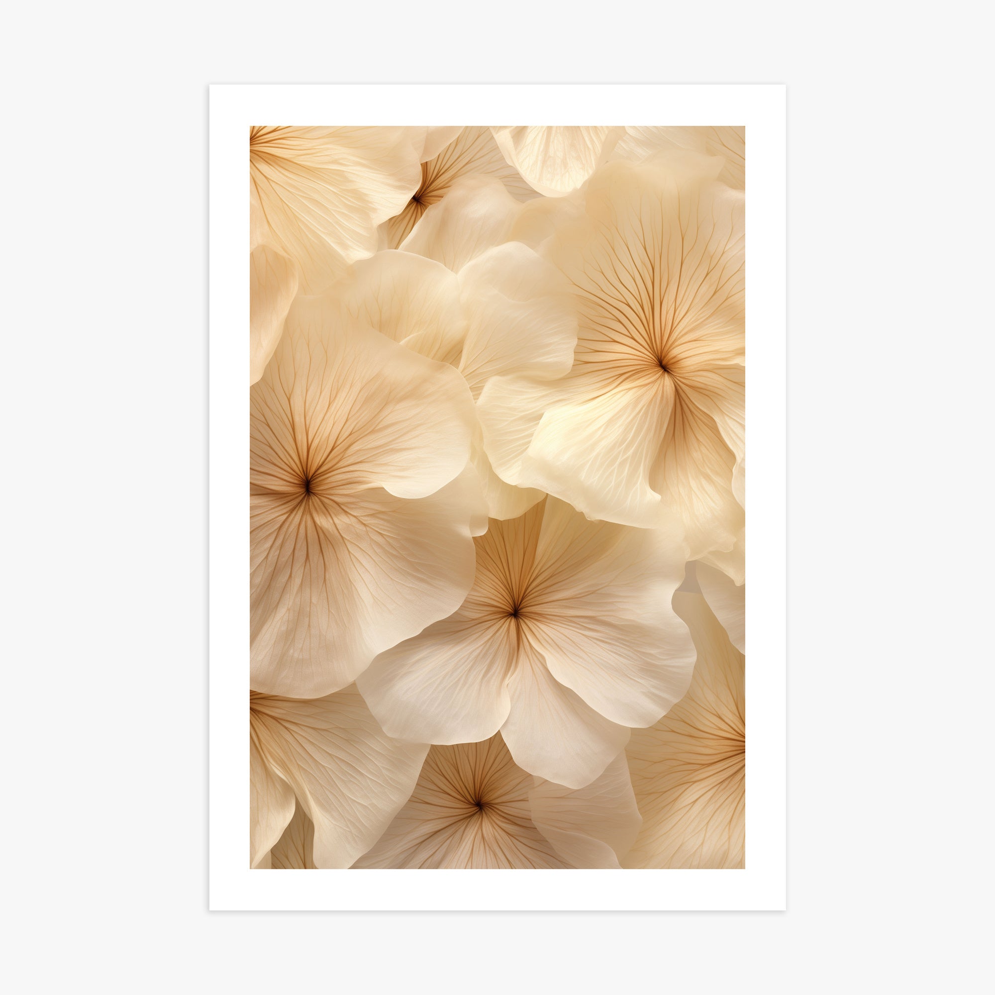 Fiori d'avorio