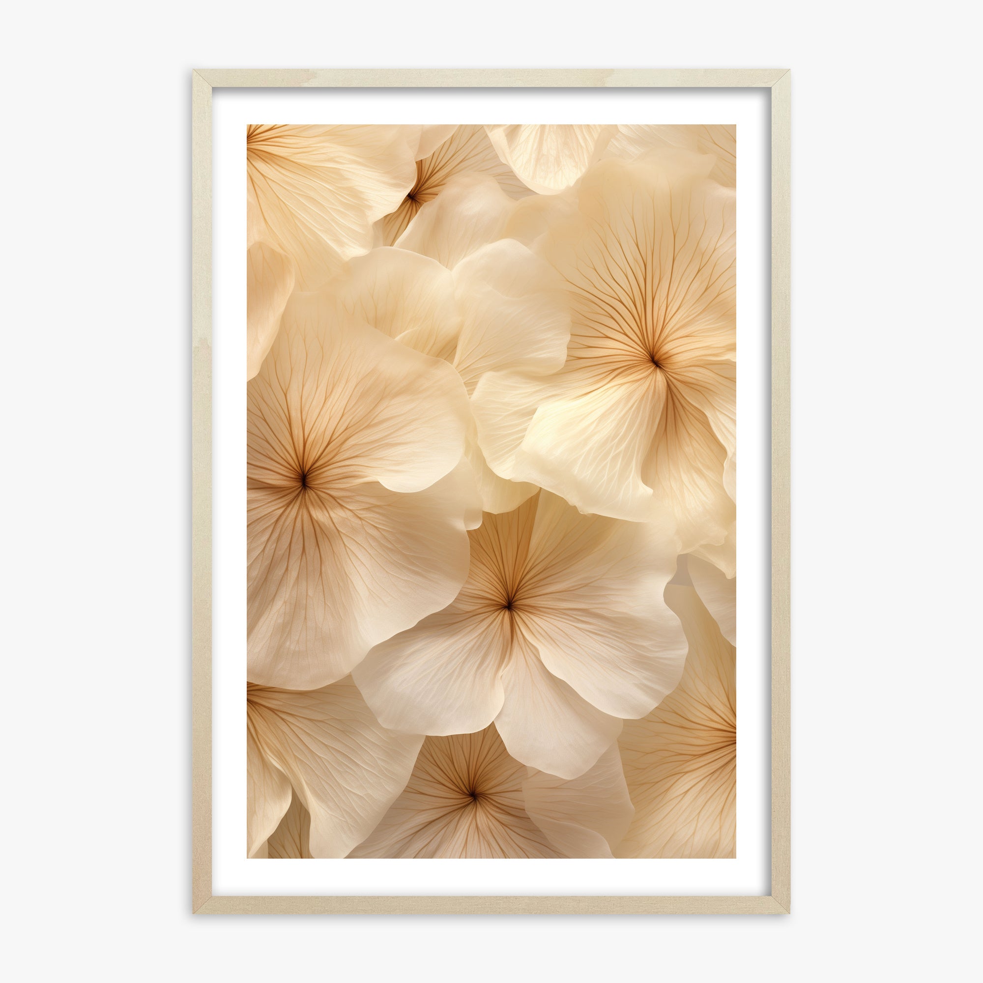 Fiori d'avorio