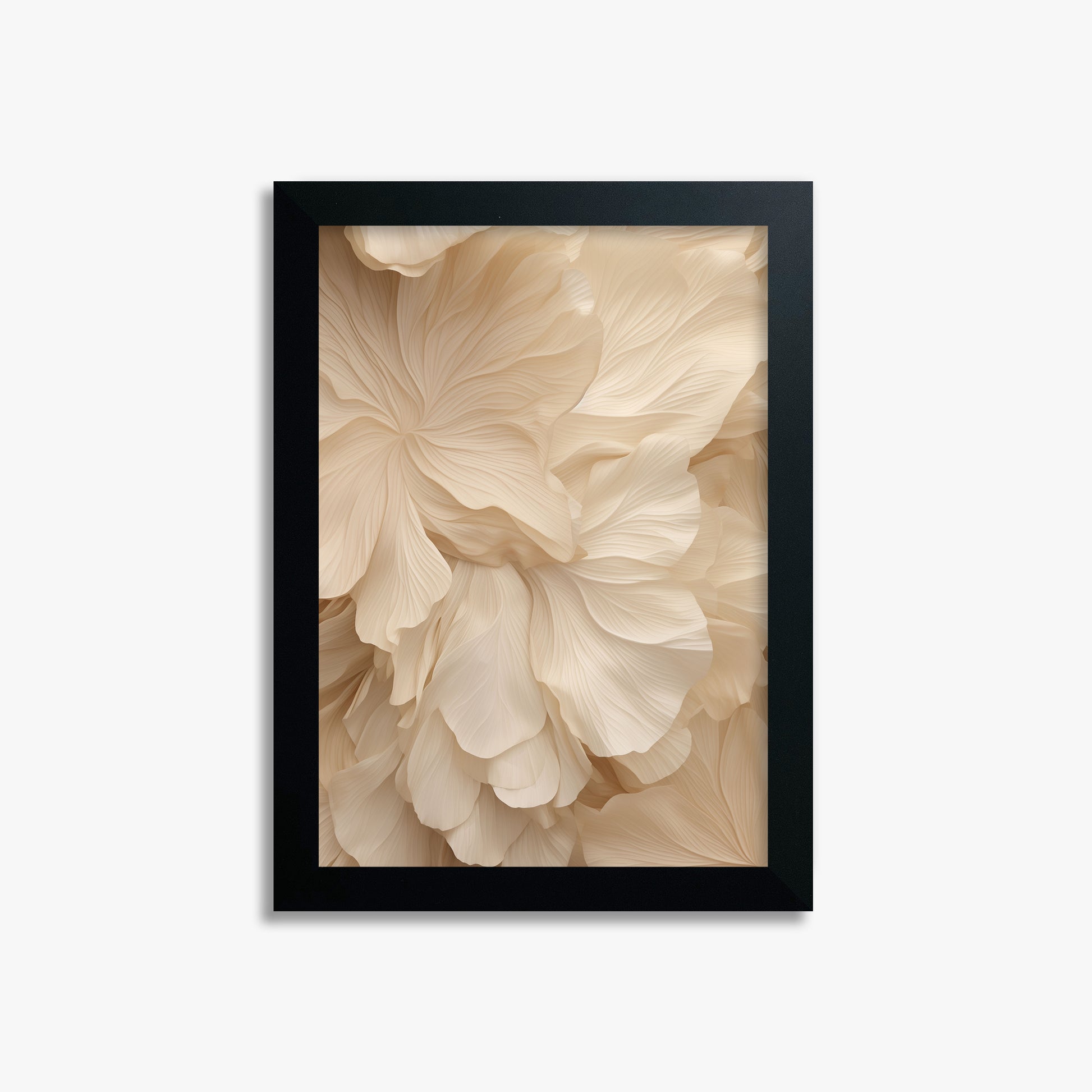 Ivory Petal Symphony, 21x30cm Framed Poster With Black Frame