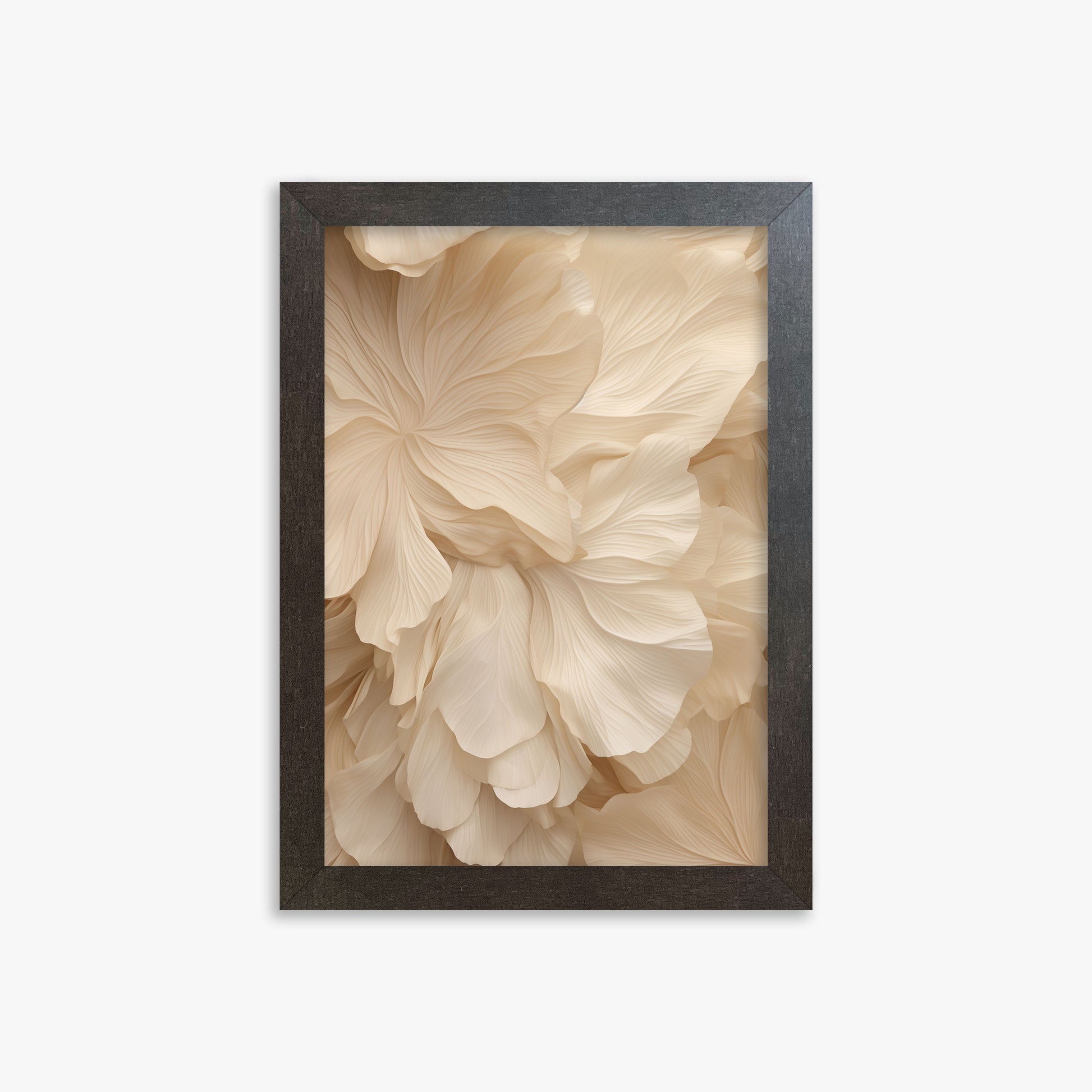 Ivory Petal Symphony, 21x30cm Framed Poster With Espresso Frame