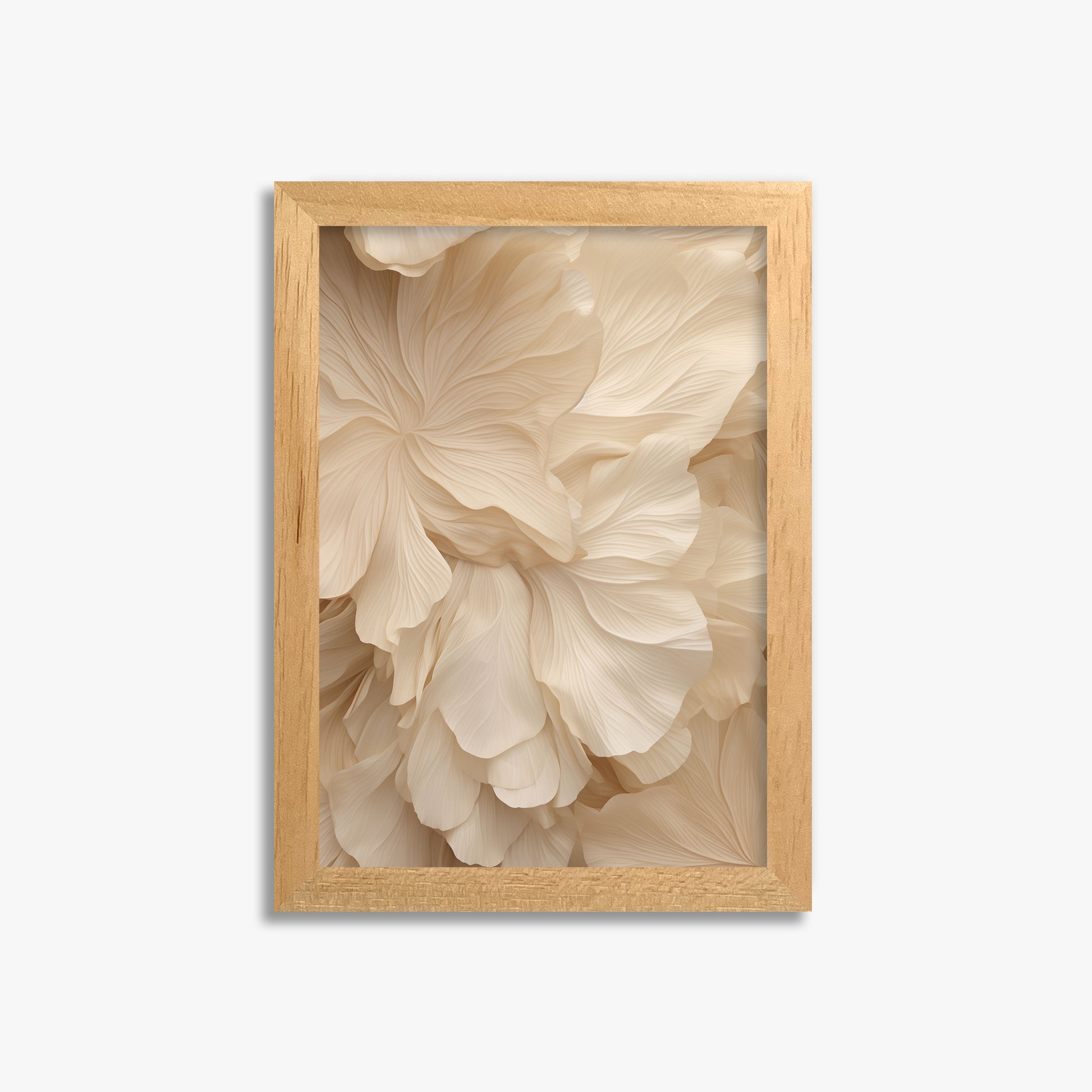 Ivory Petal Symphony, 21x30cm Framed Poster With Oak Frame