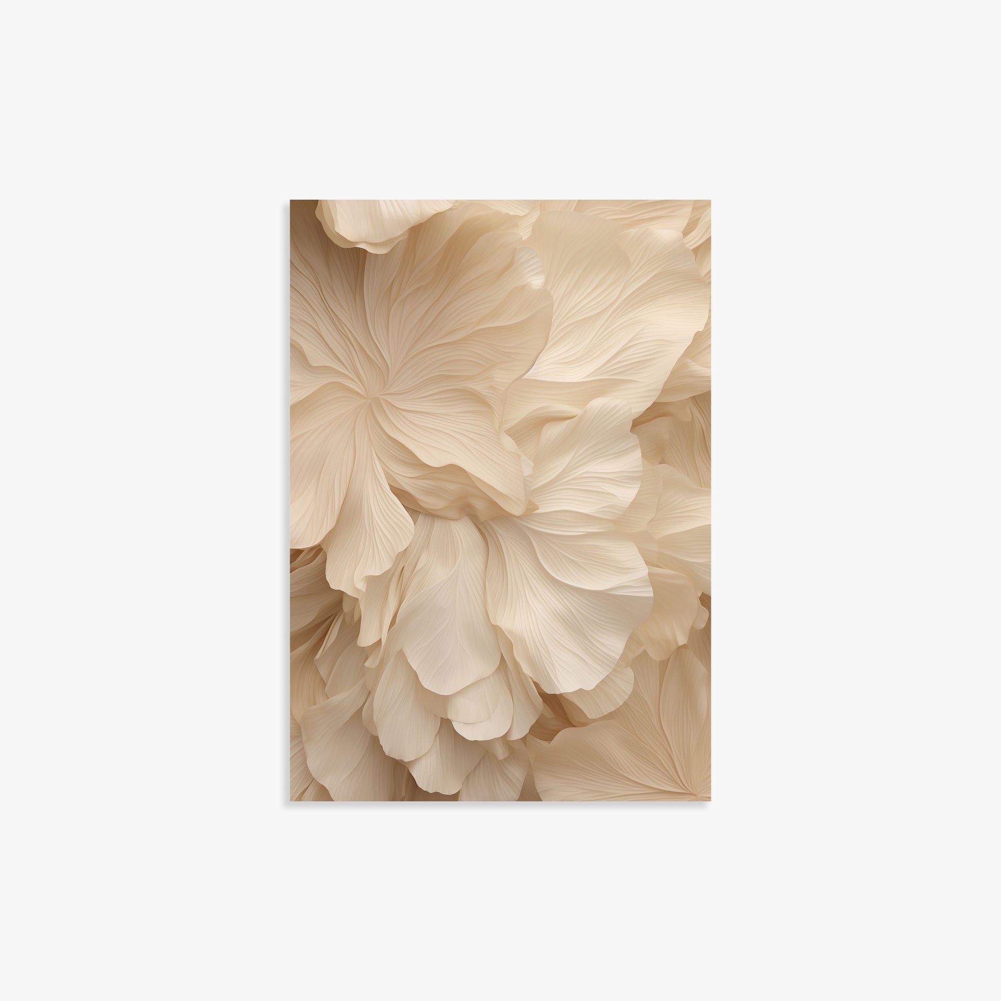 Ivory Petal Symphony, 21x30cm Poster Unframed
