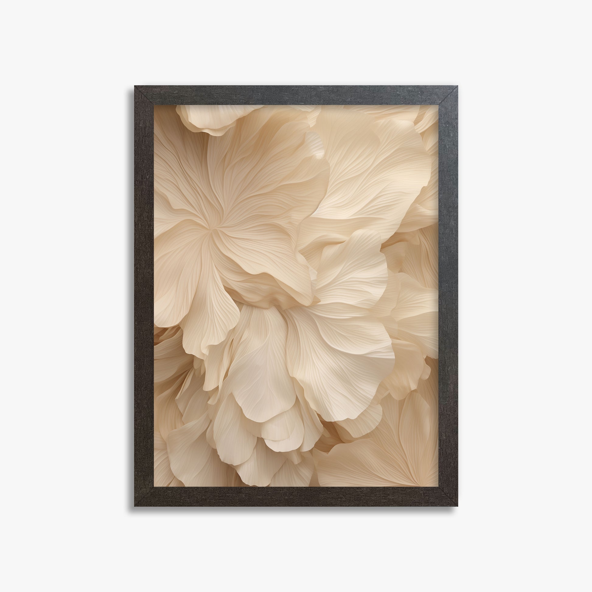 Ivory Petal Symphony, 30x40cm Framed Poster With Espresso Frame