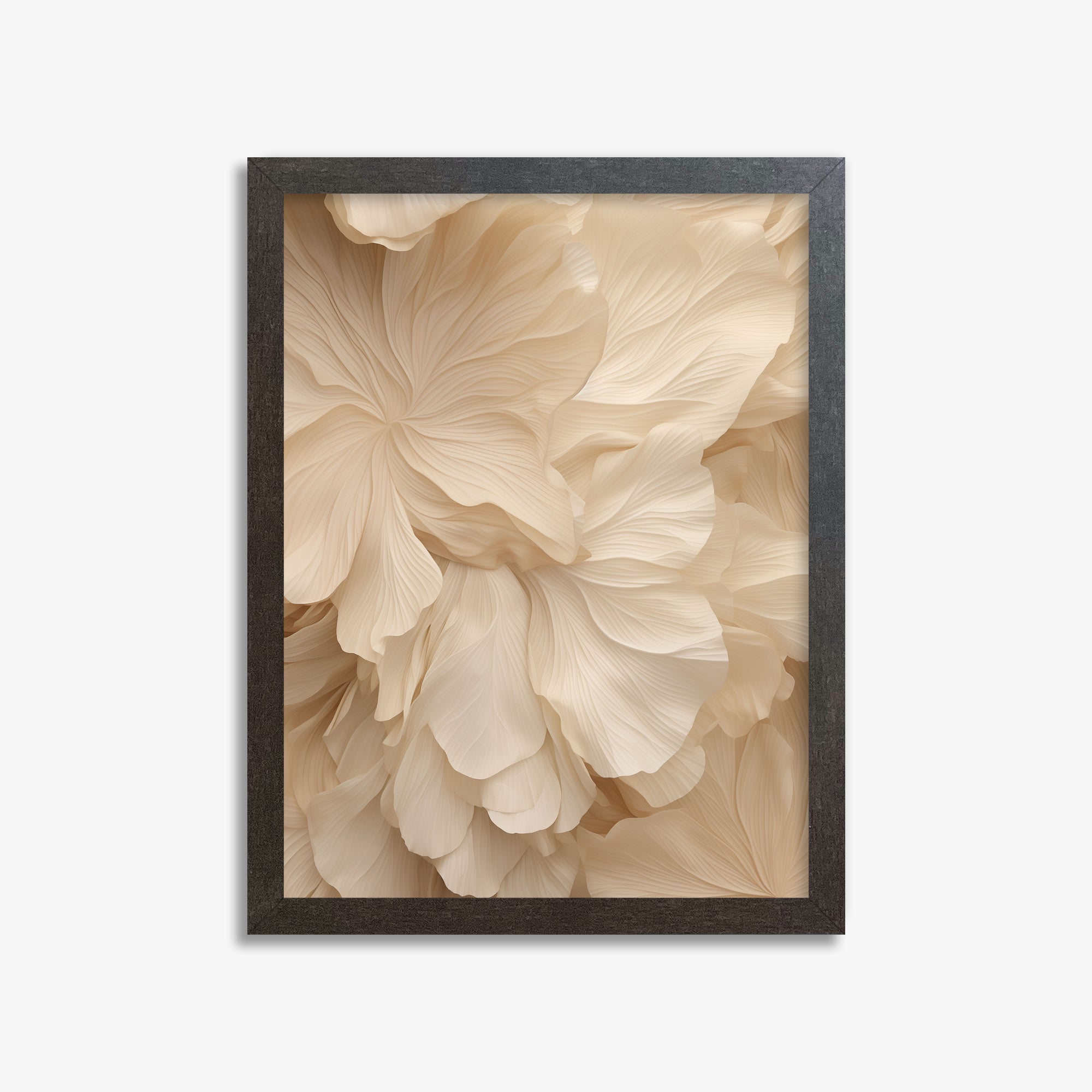 Ivory Petal Symphony, 30x40cm Framed Poster With Espresso Frame