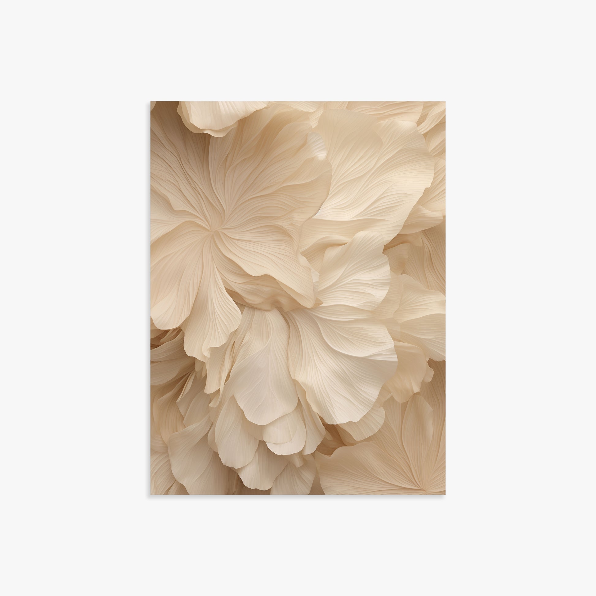 Ivory Petal Symphony, 30x40cm Poster Unframed