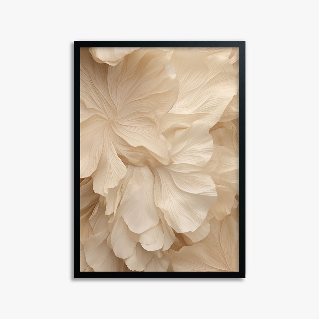 Ivory Petal Symphony, 50x70cm Framed Poster With Black Frame