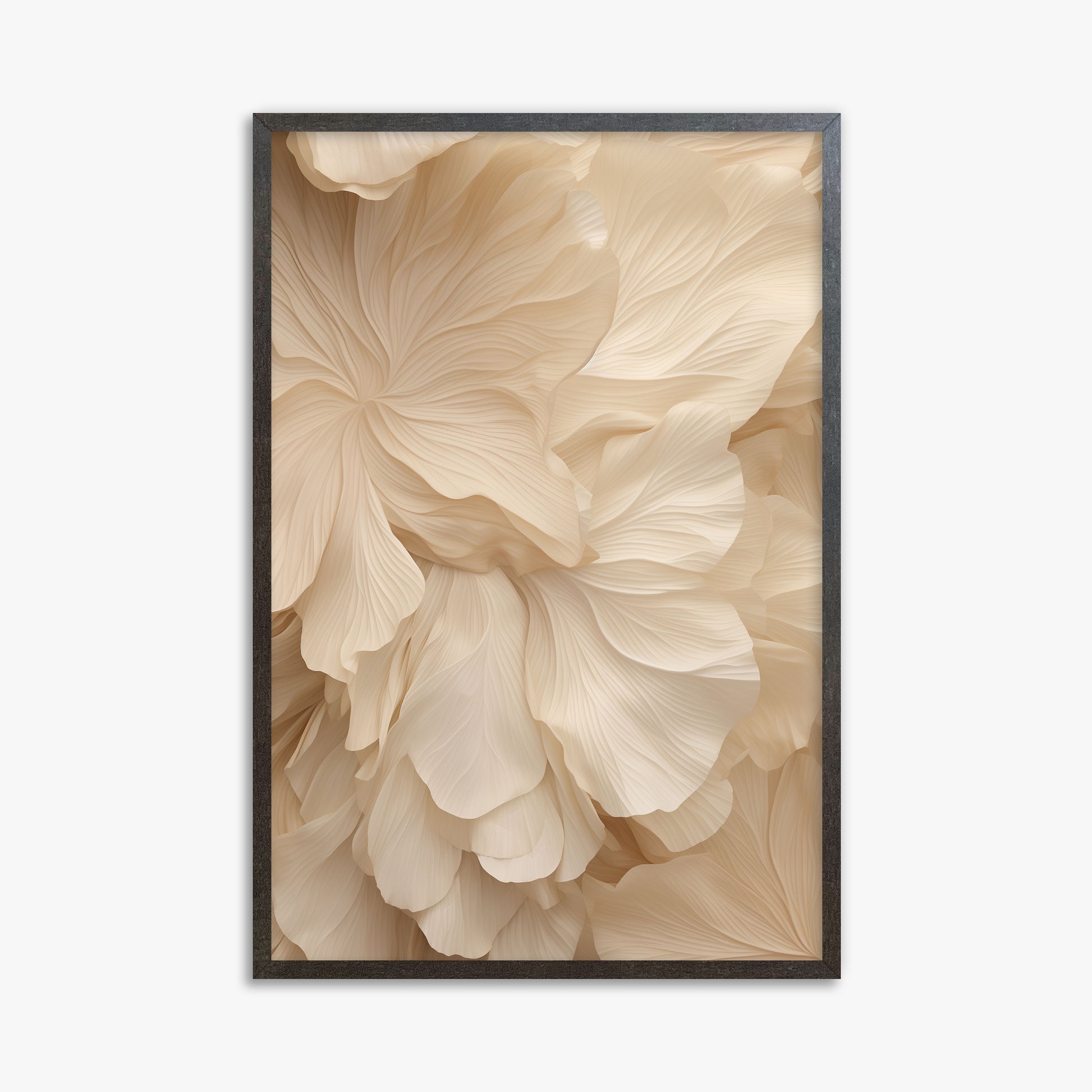 Ivory Petal Symphony, 61x91cm Framed Poster With Espresso Frame