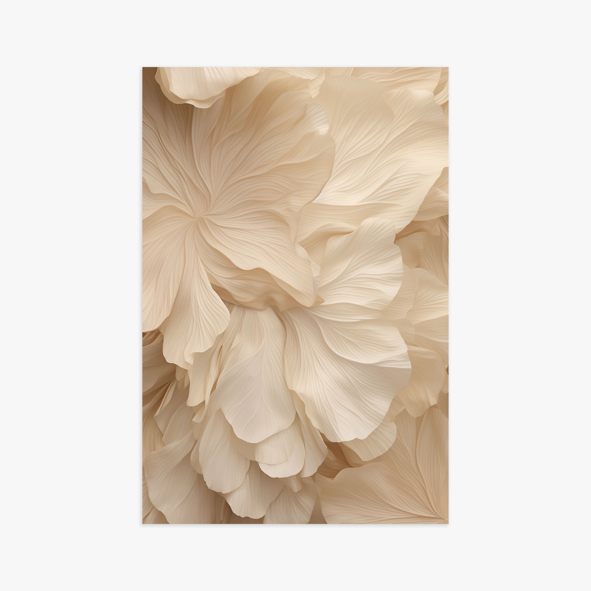 Ivory Petal Symphony, 61x91cm Poster Unframed