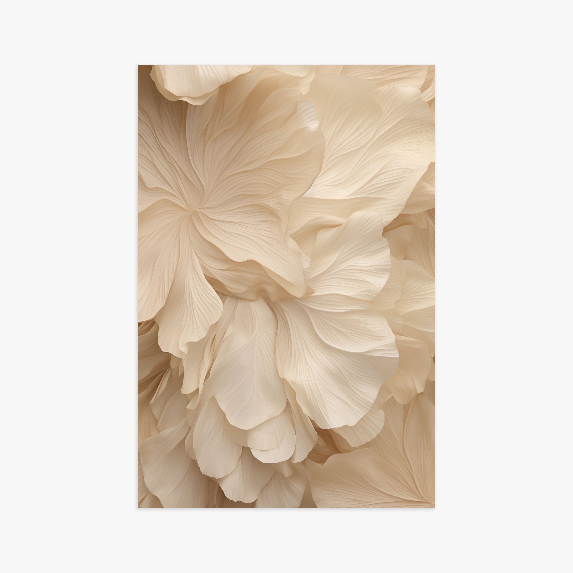 Ivory Petal Symphony, 61x91cm Poster Unframed
