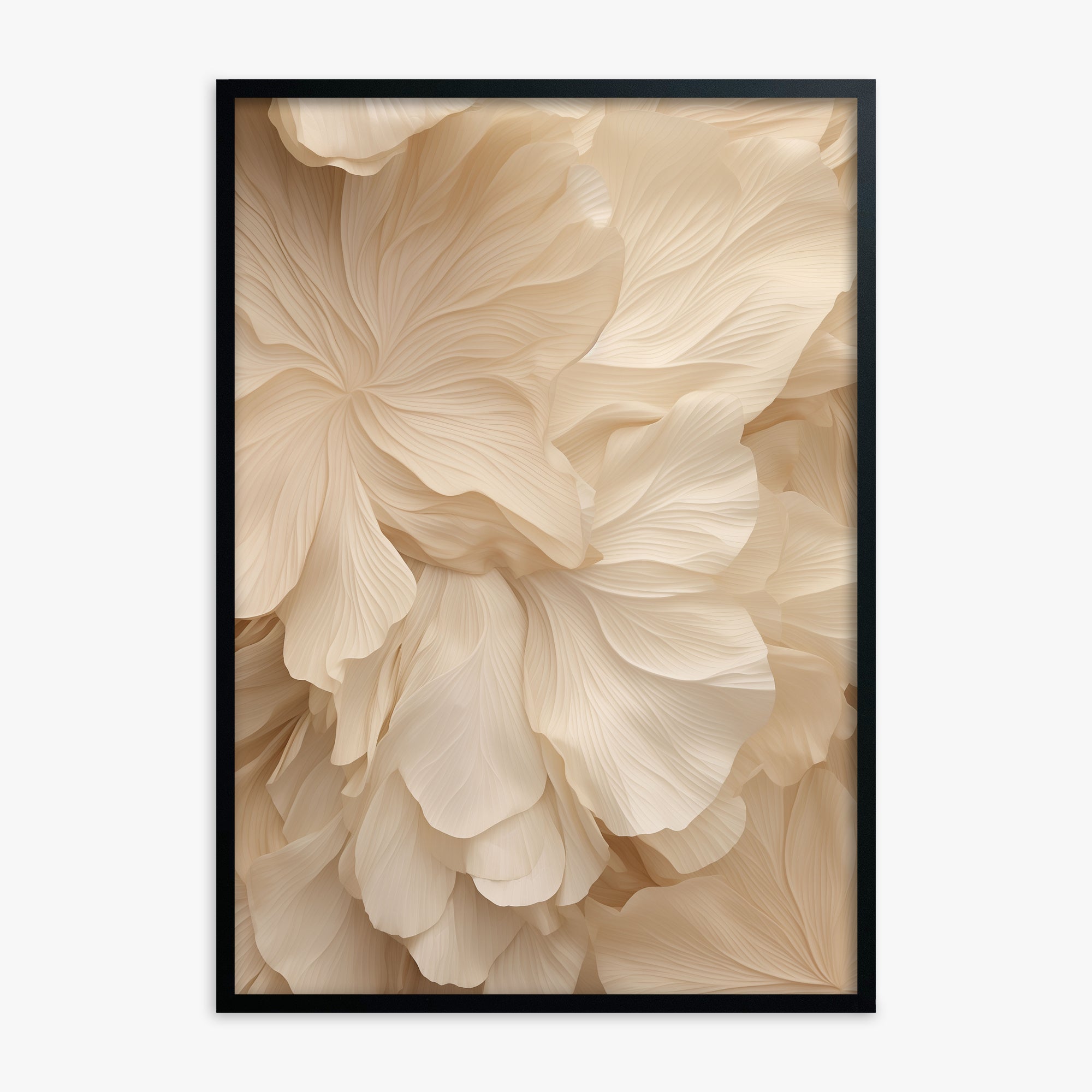 Ivory Petal Symphony, Black Framed Poster With Black Frame