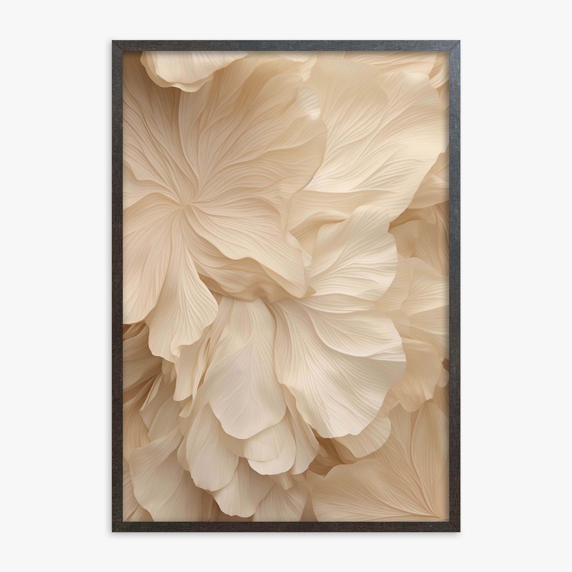 Ivory Petal Symphony, 70x100cm Framed Poster With Espresso Frame