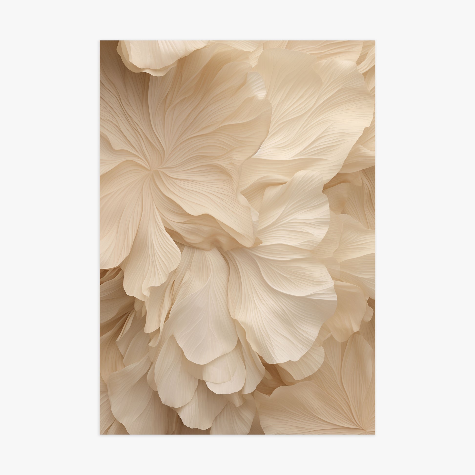 Ivory Petal Symphony, 70x100cm Poster Unframed