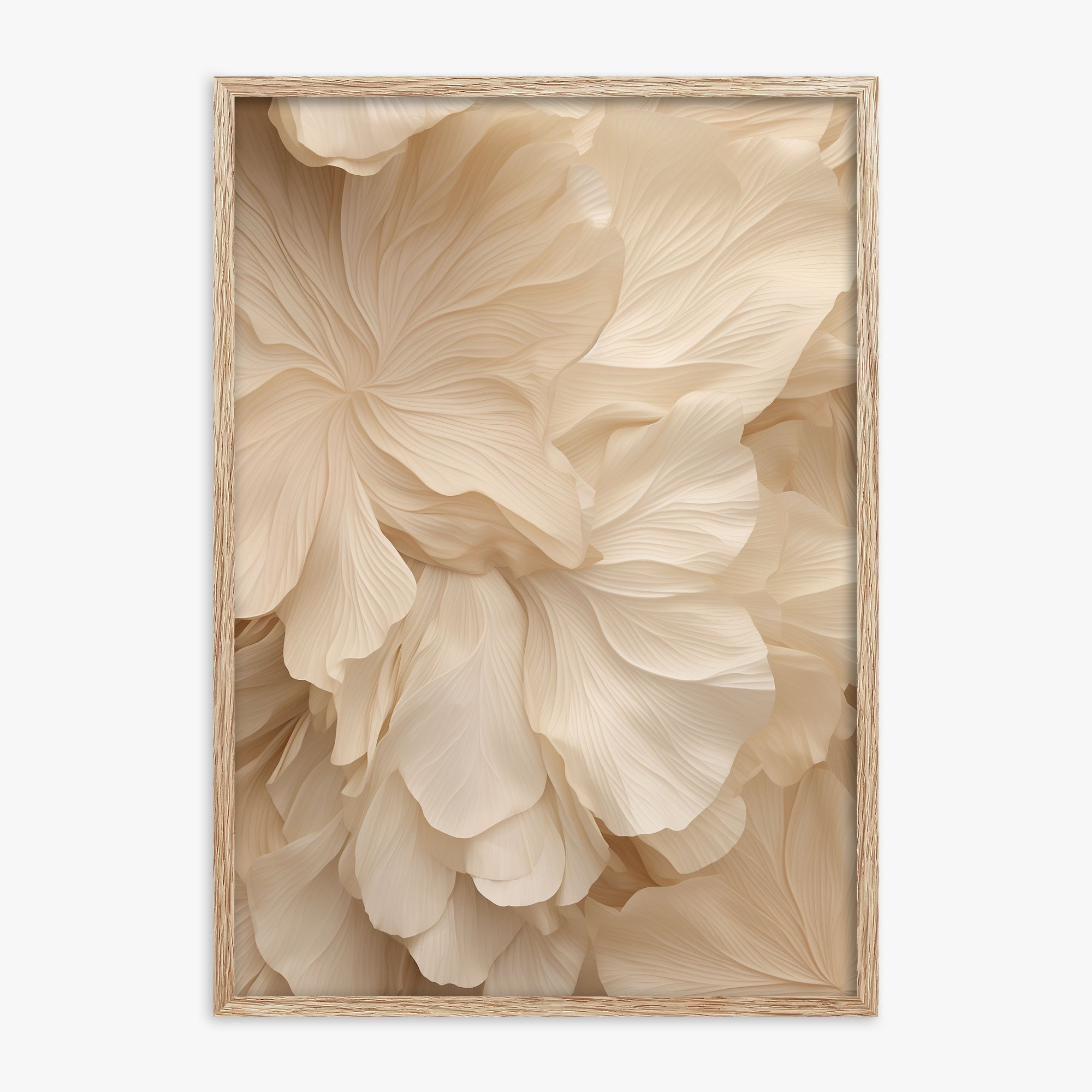 Ivory Petal Symphony, 70x100cm Framed Poster With Raw Oak Frame