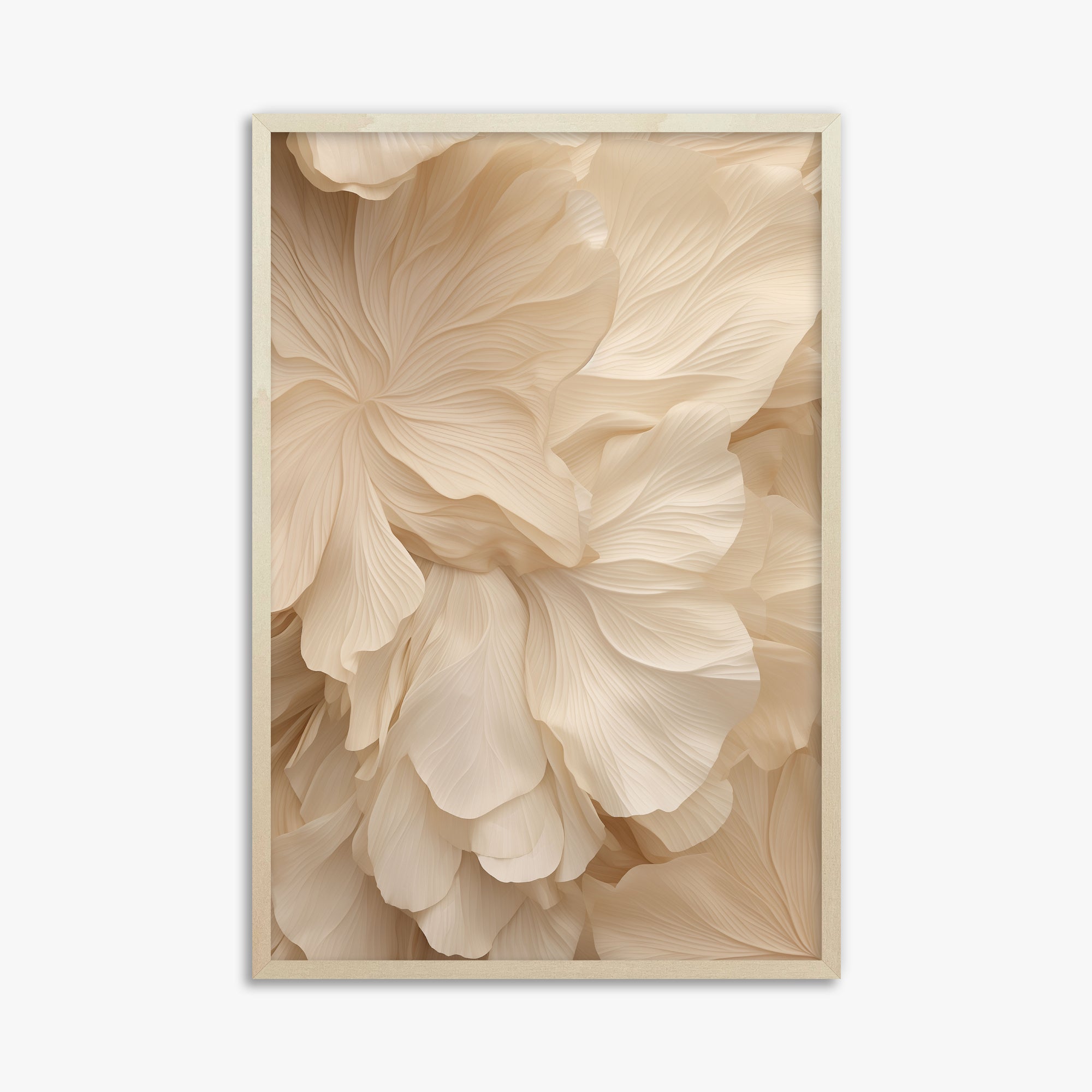 Sinfonia di petali d'avorio