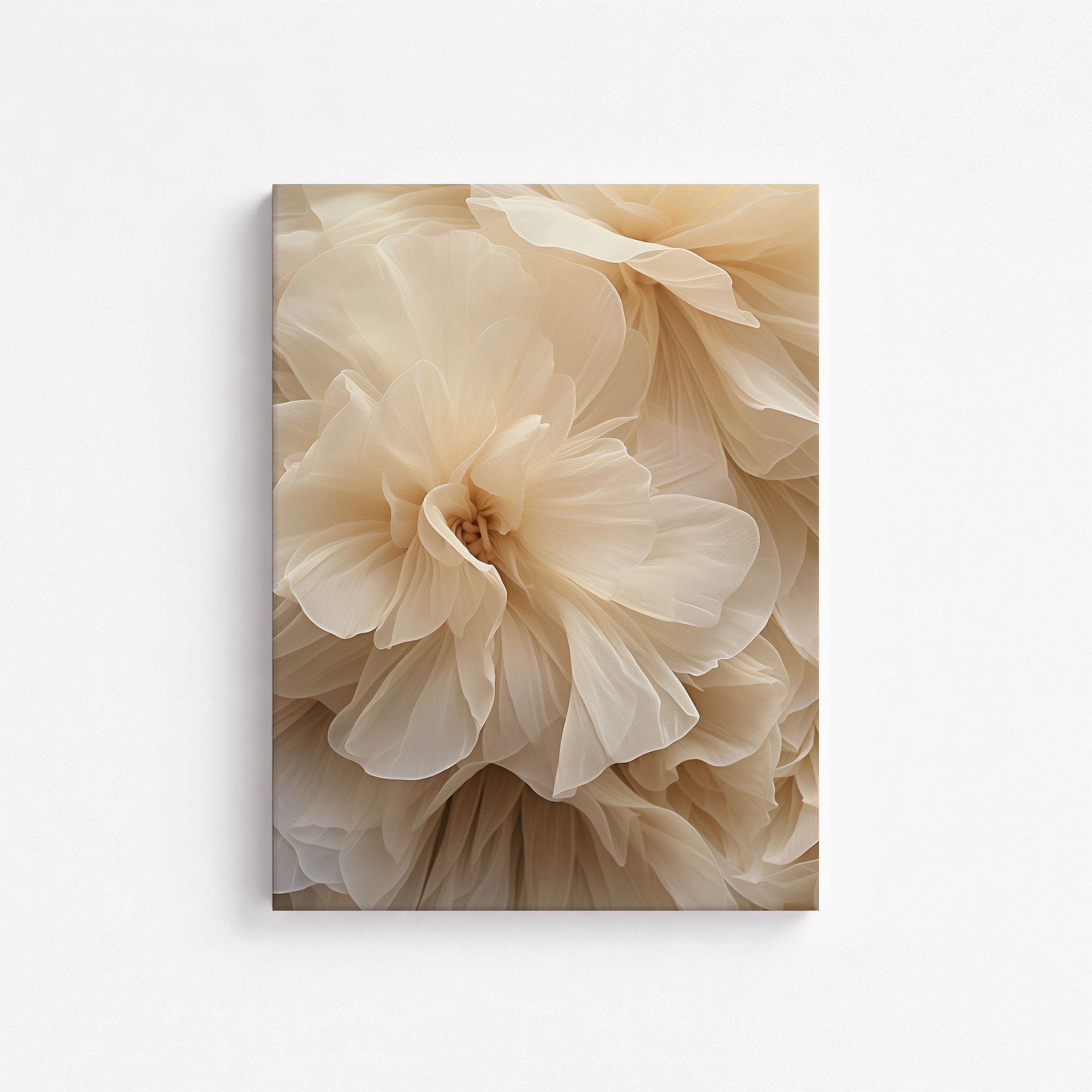 Ivory Petals Whisper