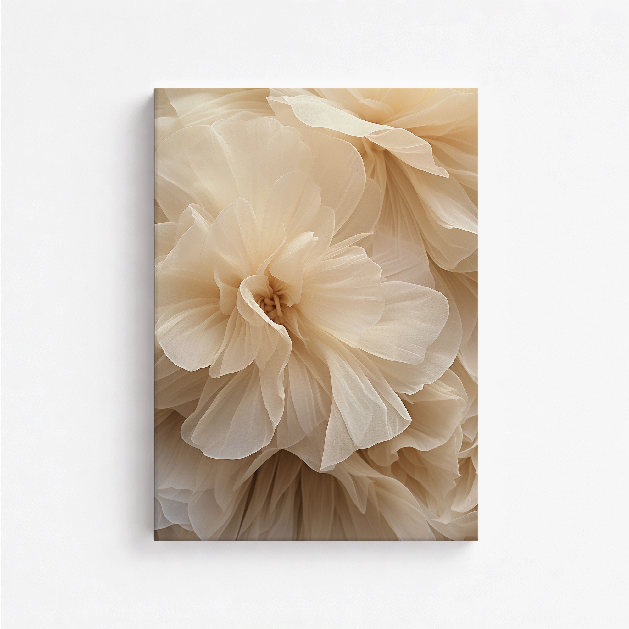 Ivory Petals Whisper